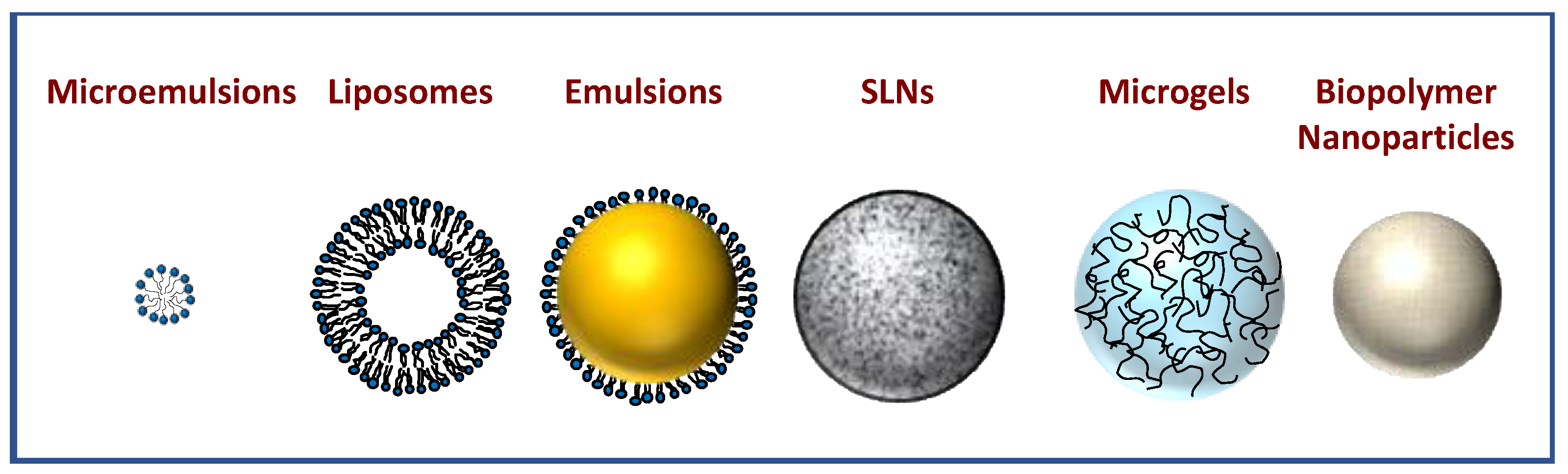 Molecules 26 03984 g002