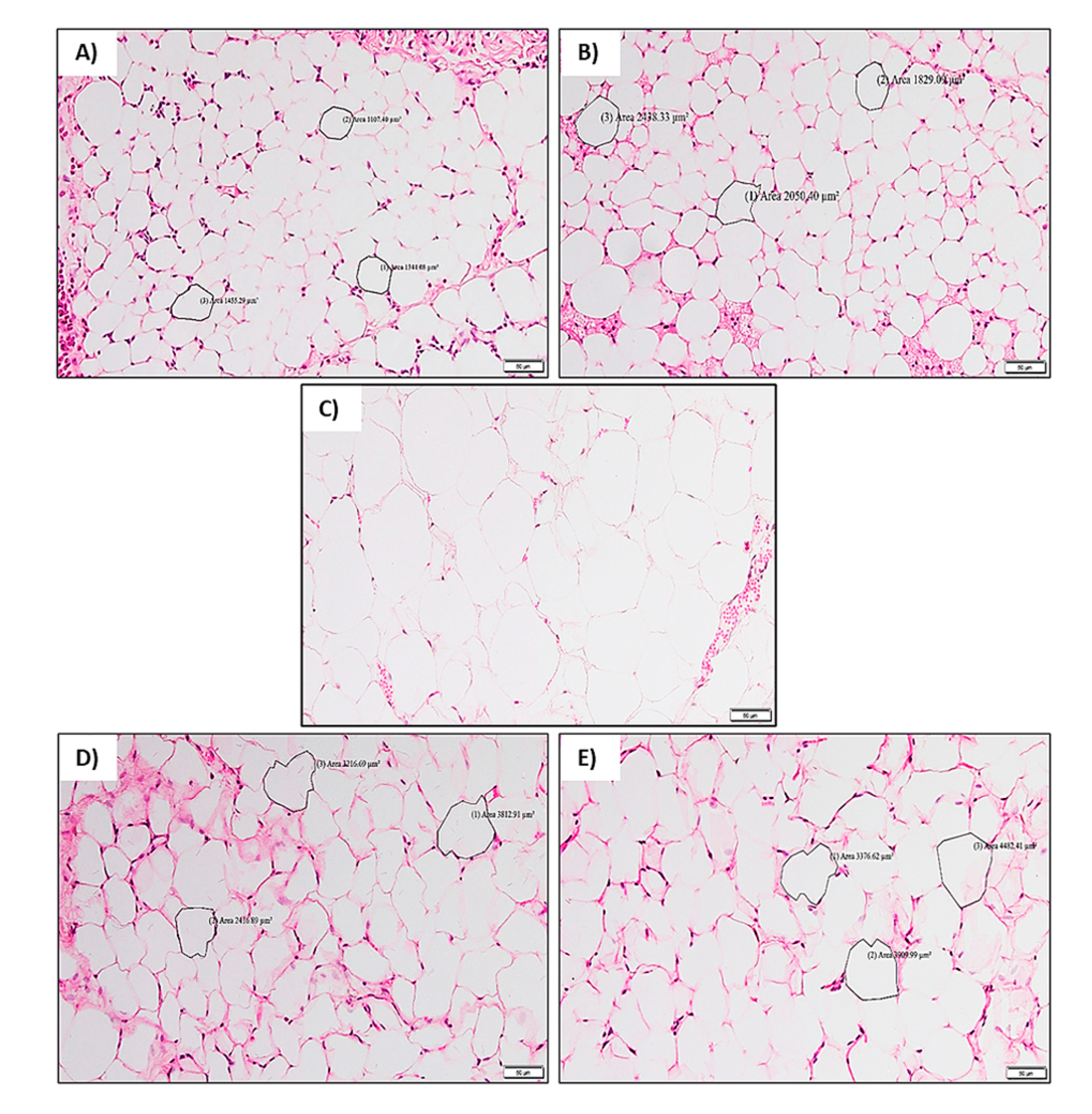 Molecules 26 03985 g005 Molecules 26 03985 g005