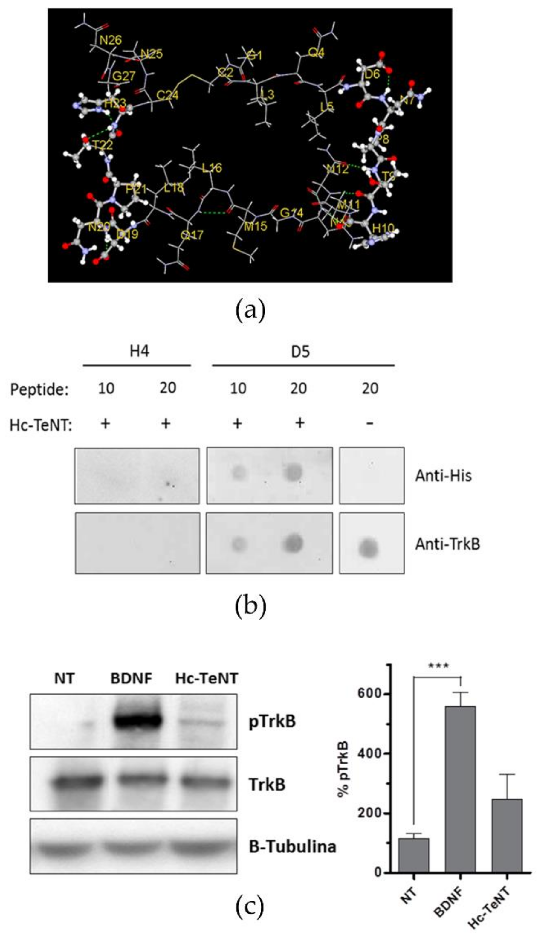 Molecules 26 03988 g001