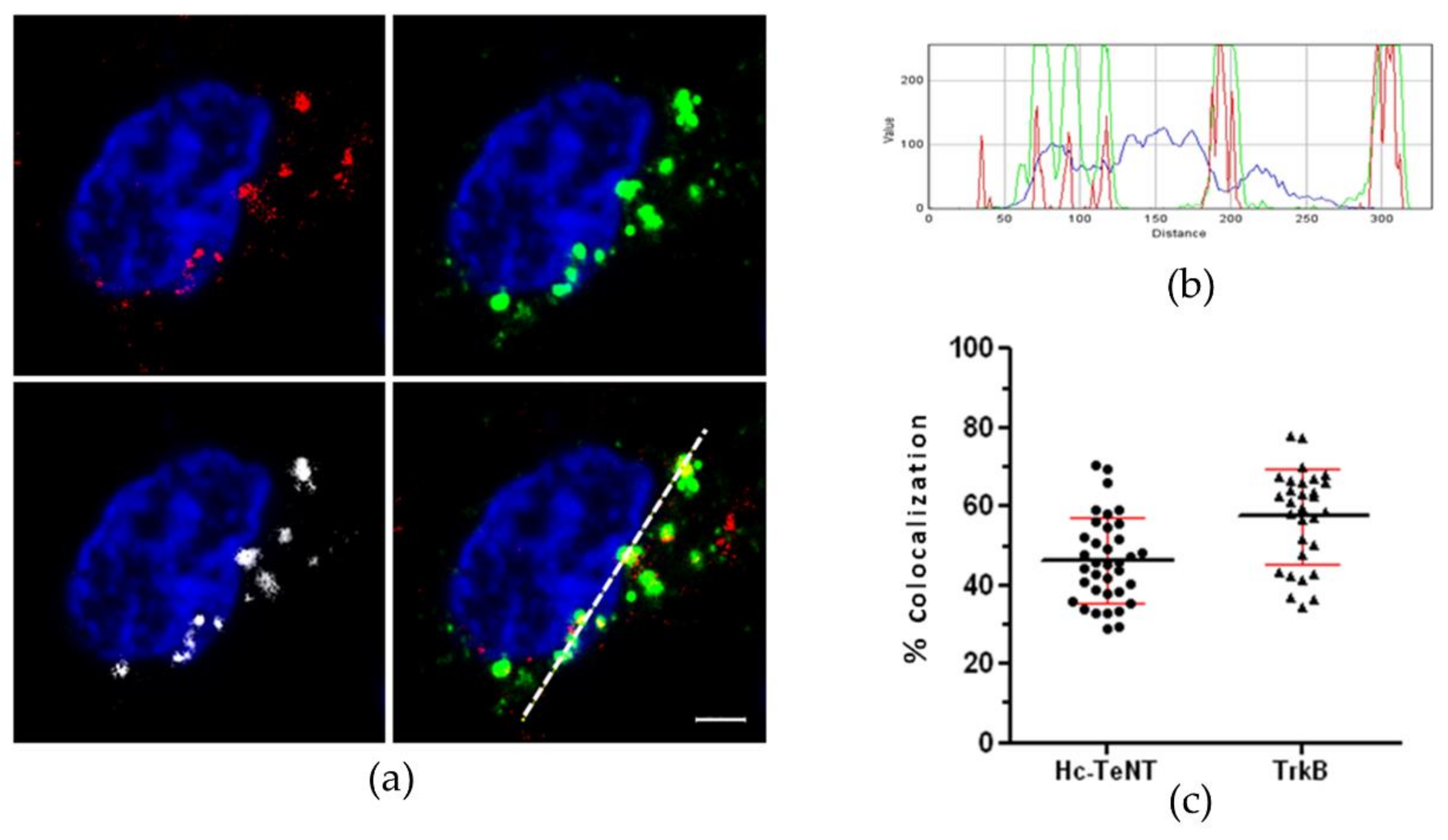 Molecules 26 03988 g002