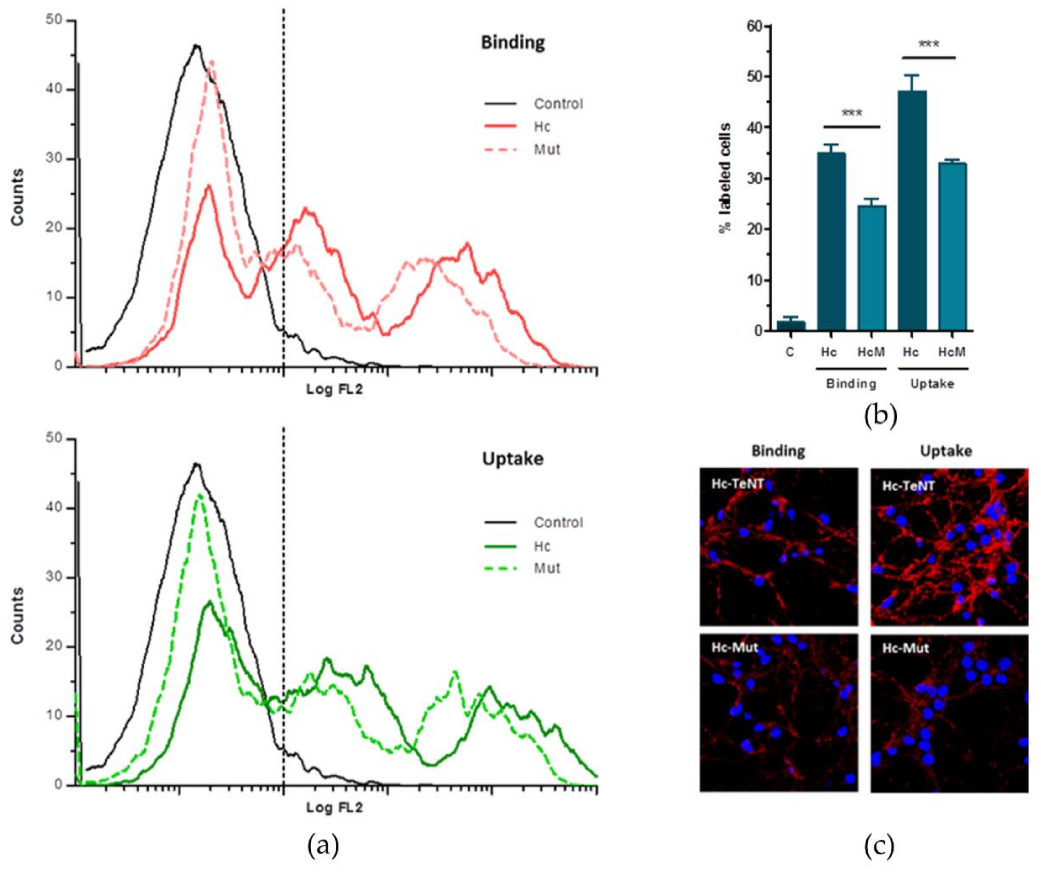 Molecules 26 03988 g005