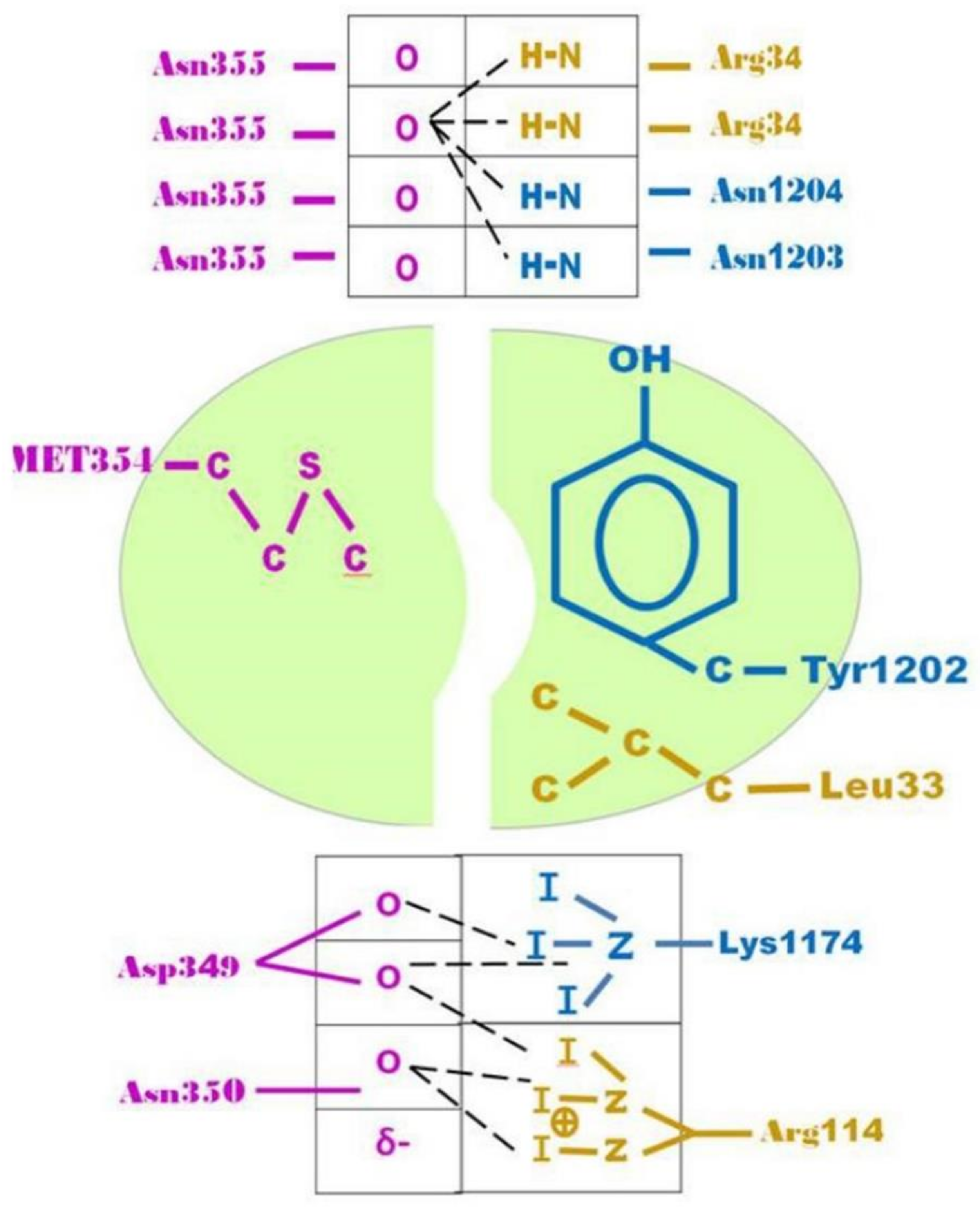 Molecules 26 03988 g008