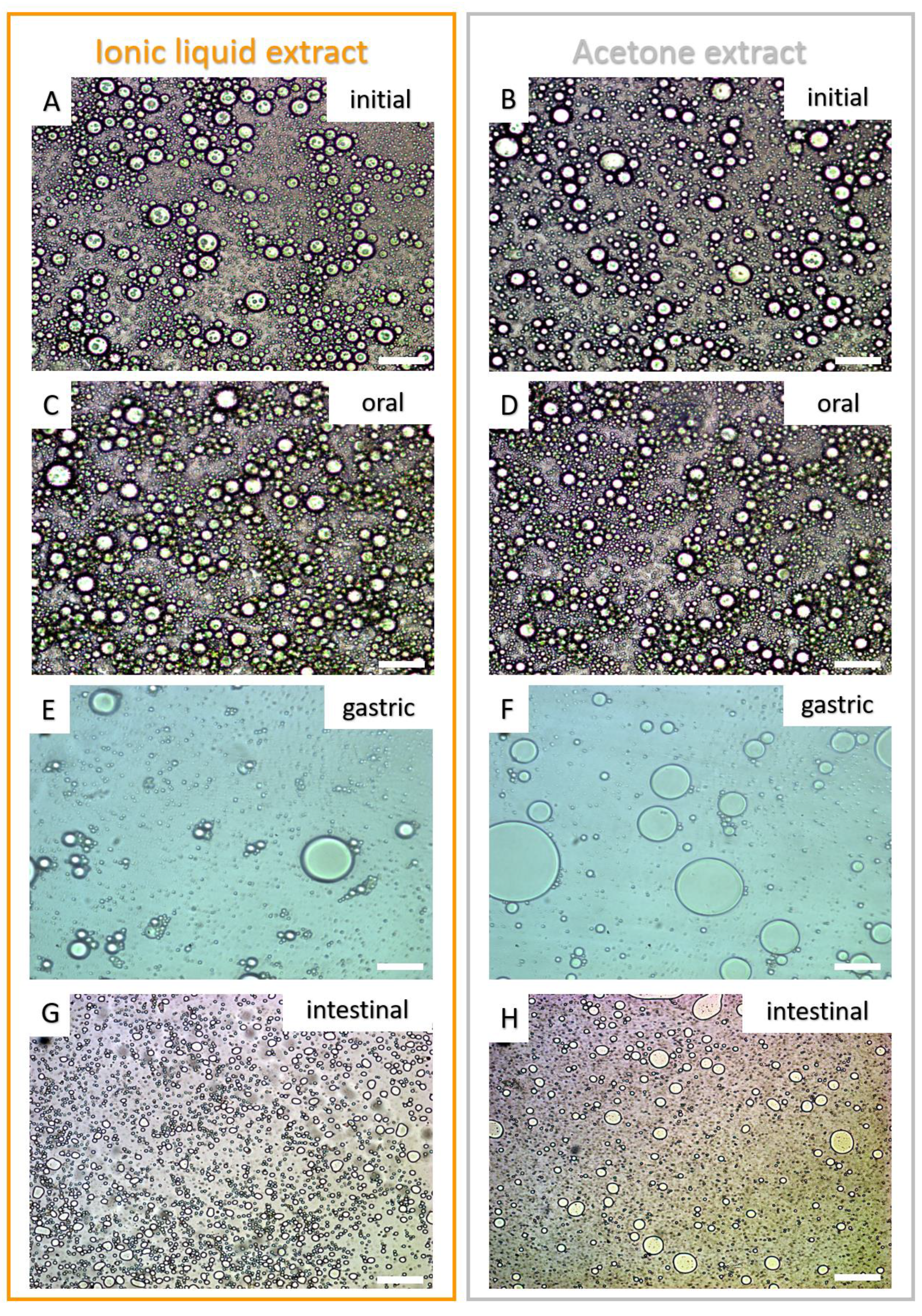 Molecules 26 03989 g004