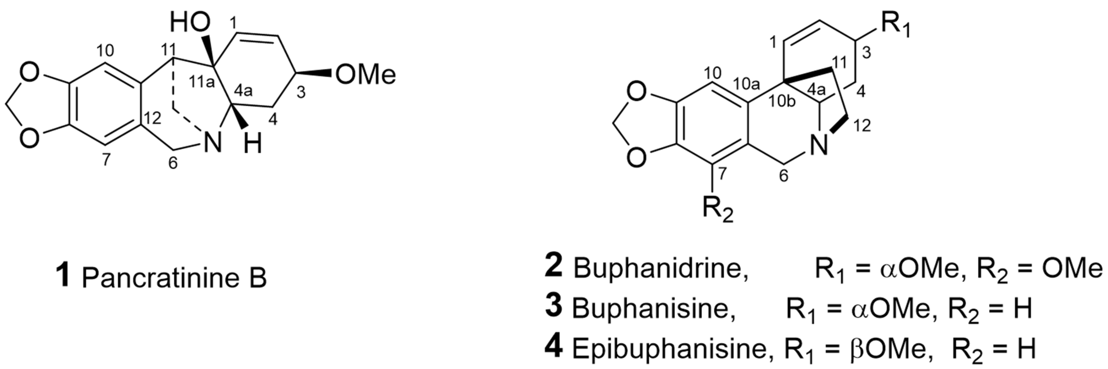 Molecules 26 03990 g001 Molecules 26 03990 g001