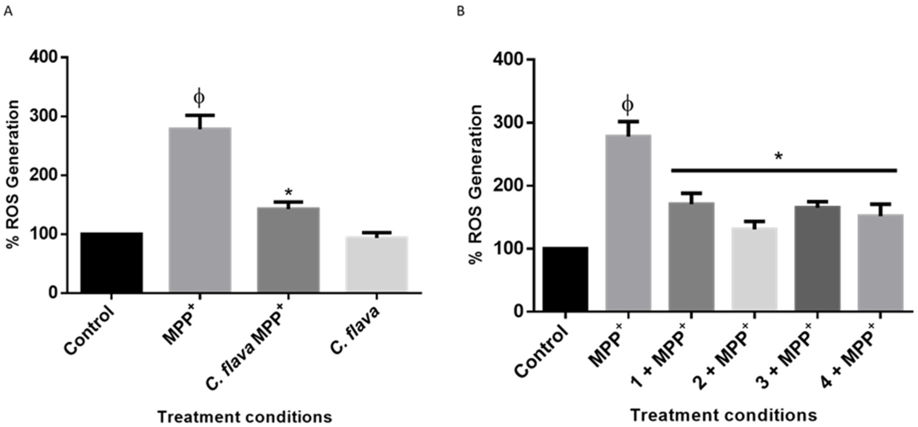 Molecules 26 03990 g005 Molecules 26 03990 g005