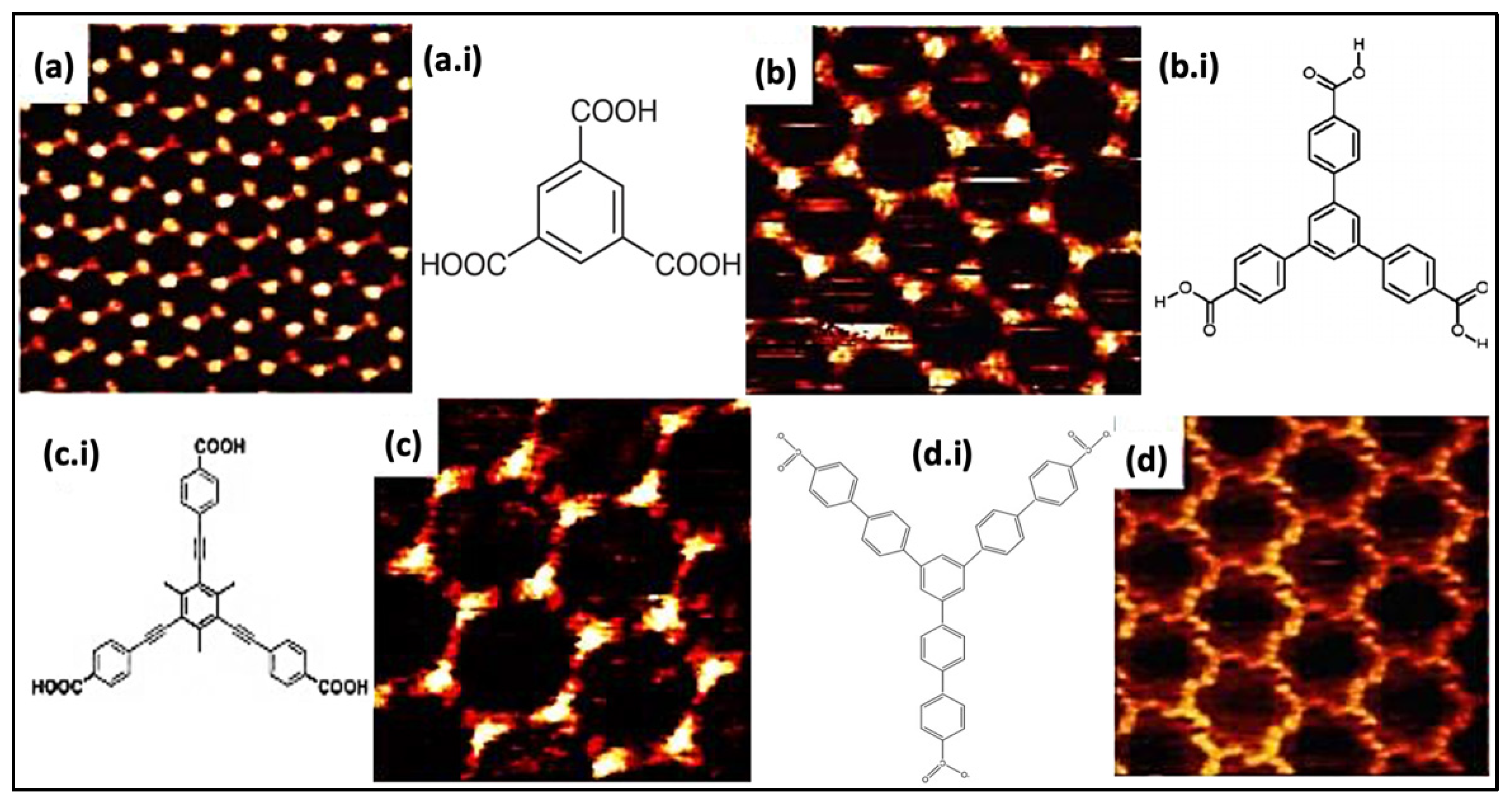 Molecules 26 03995 g002