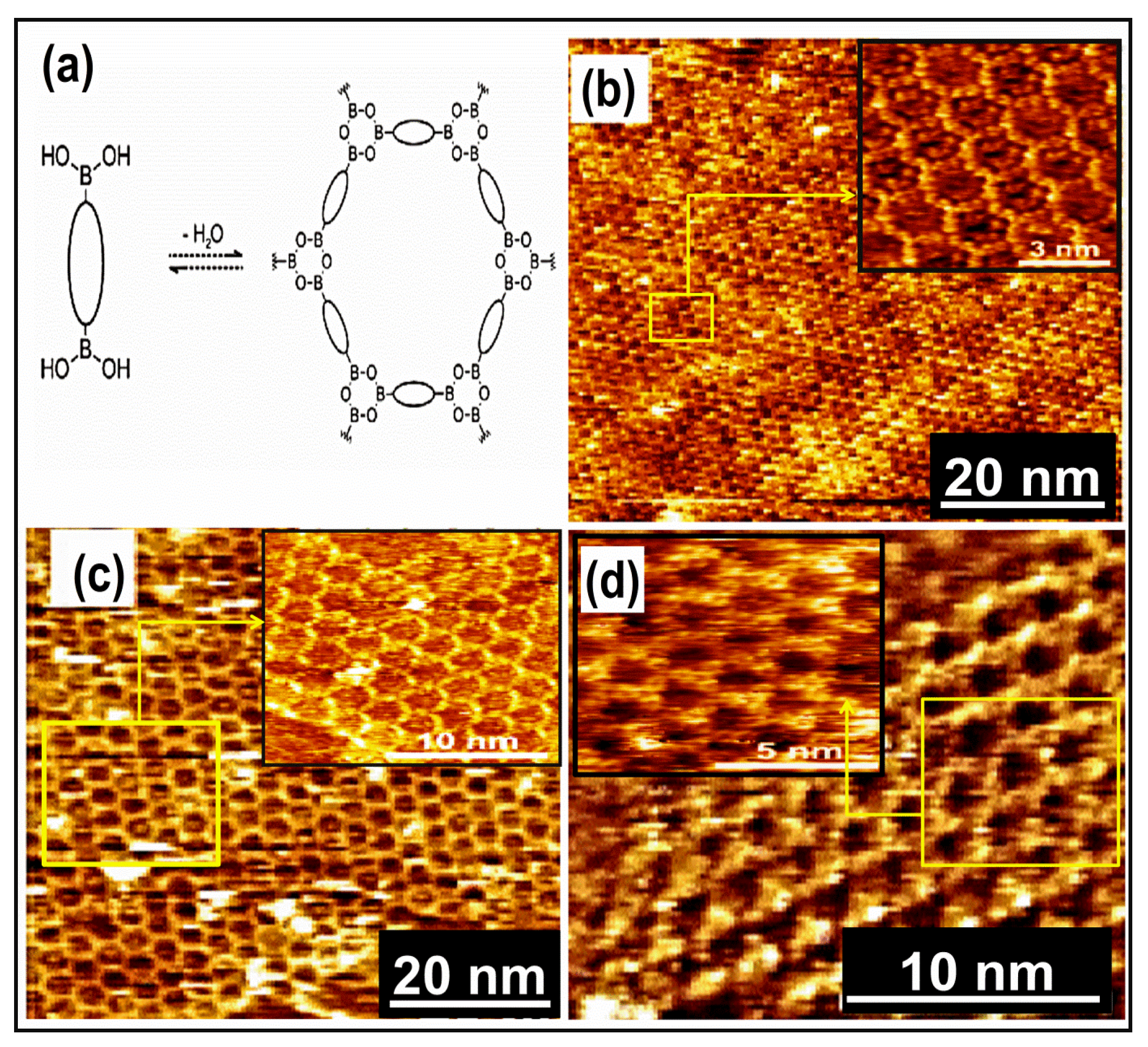 Molecules 26 03995 g006