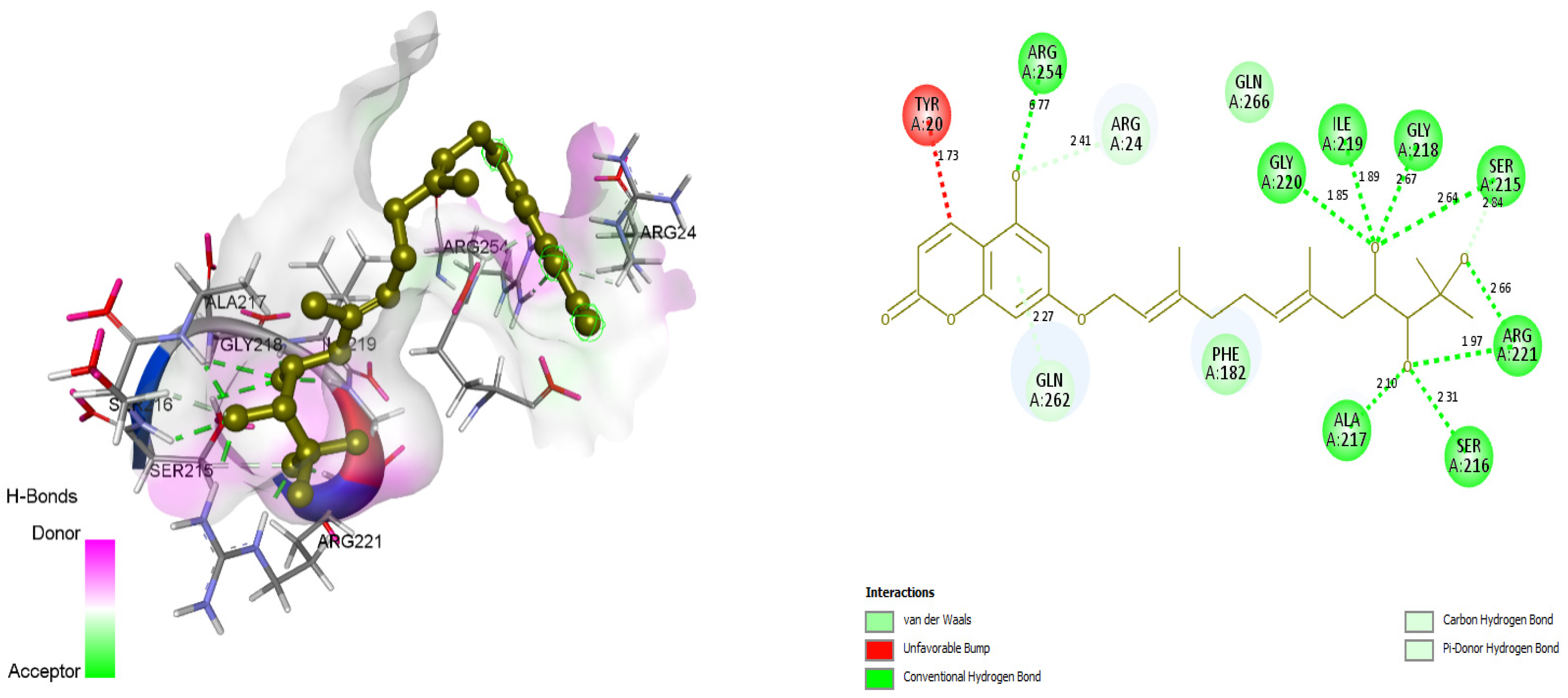 Molecules 26 03996 g005 Molecules 26 03996 g005