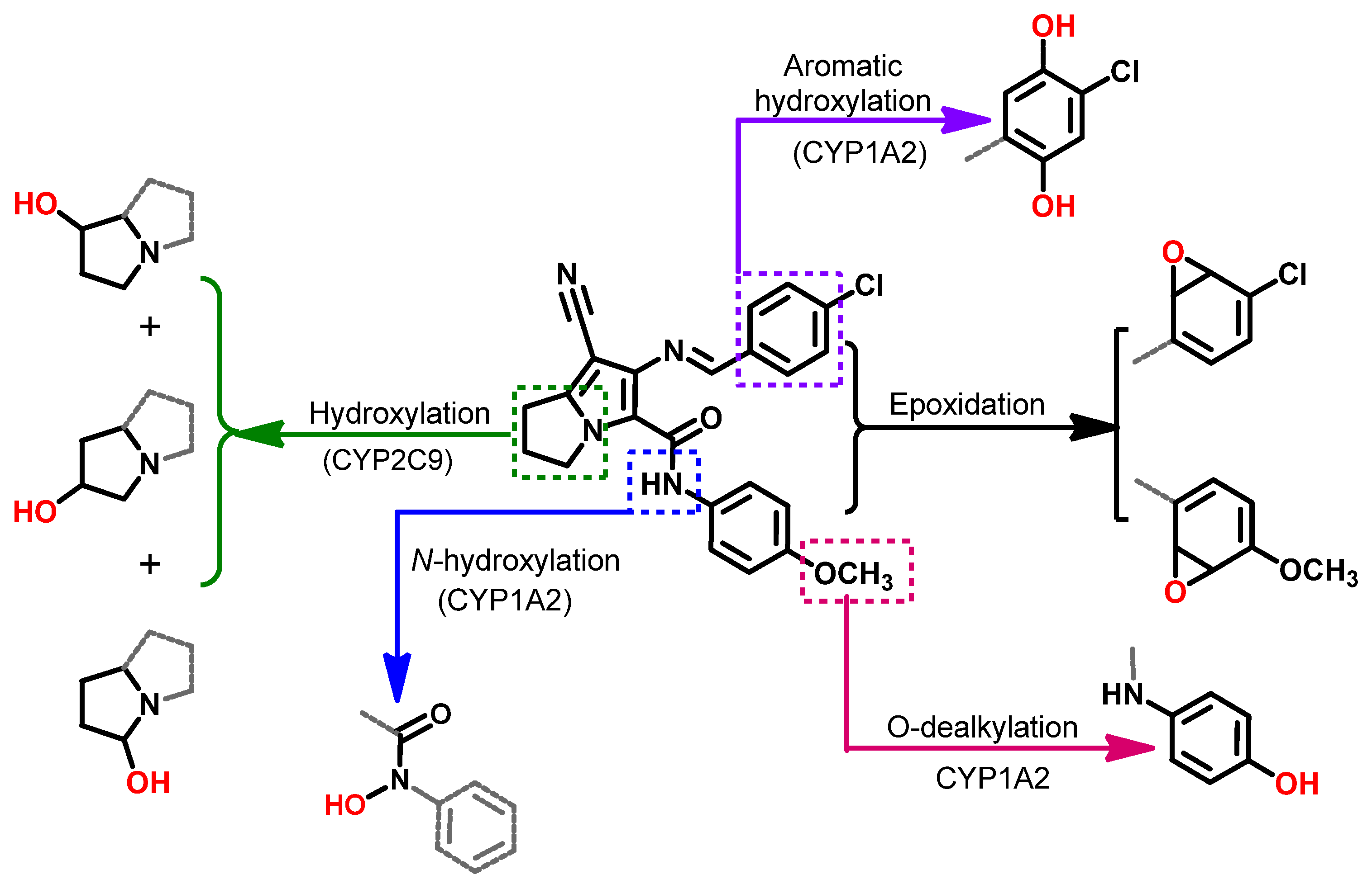 Molecules 26 04002 g023