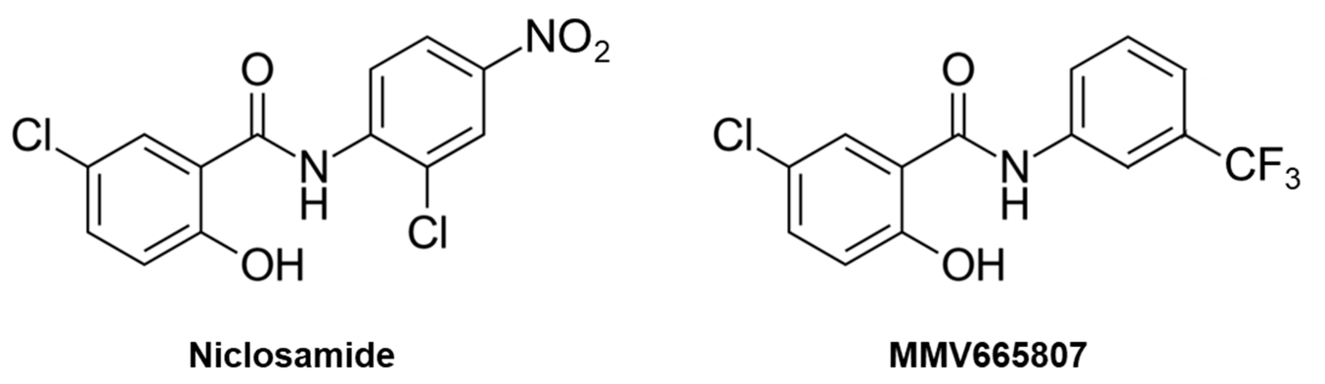 Molecules 26 04005 g001 Molecules 26 04005 g001