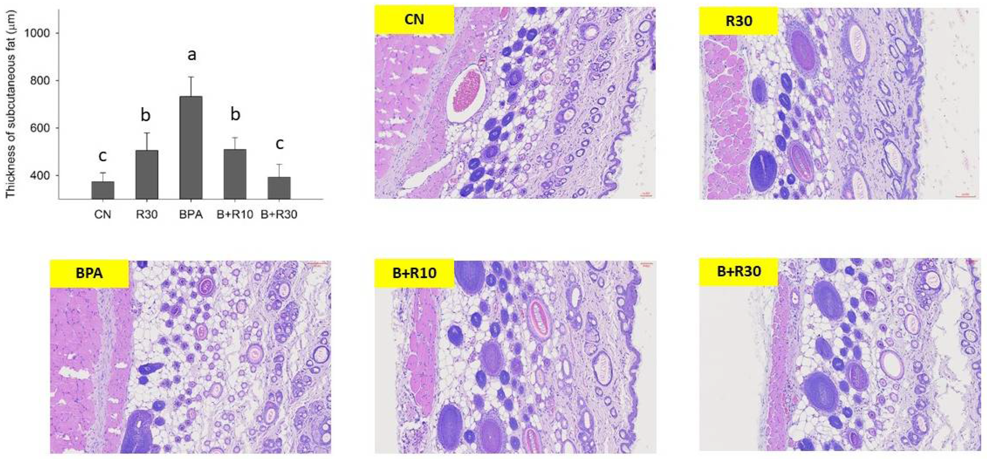 Molecules 26 04010 g002 Molecules 26 04010 g002