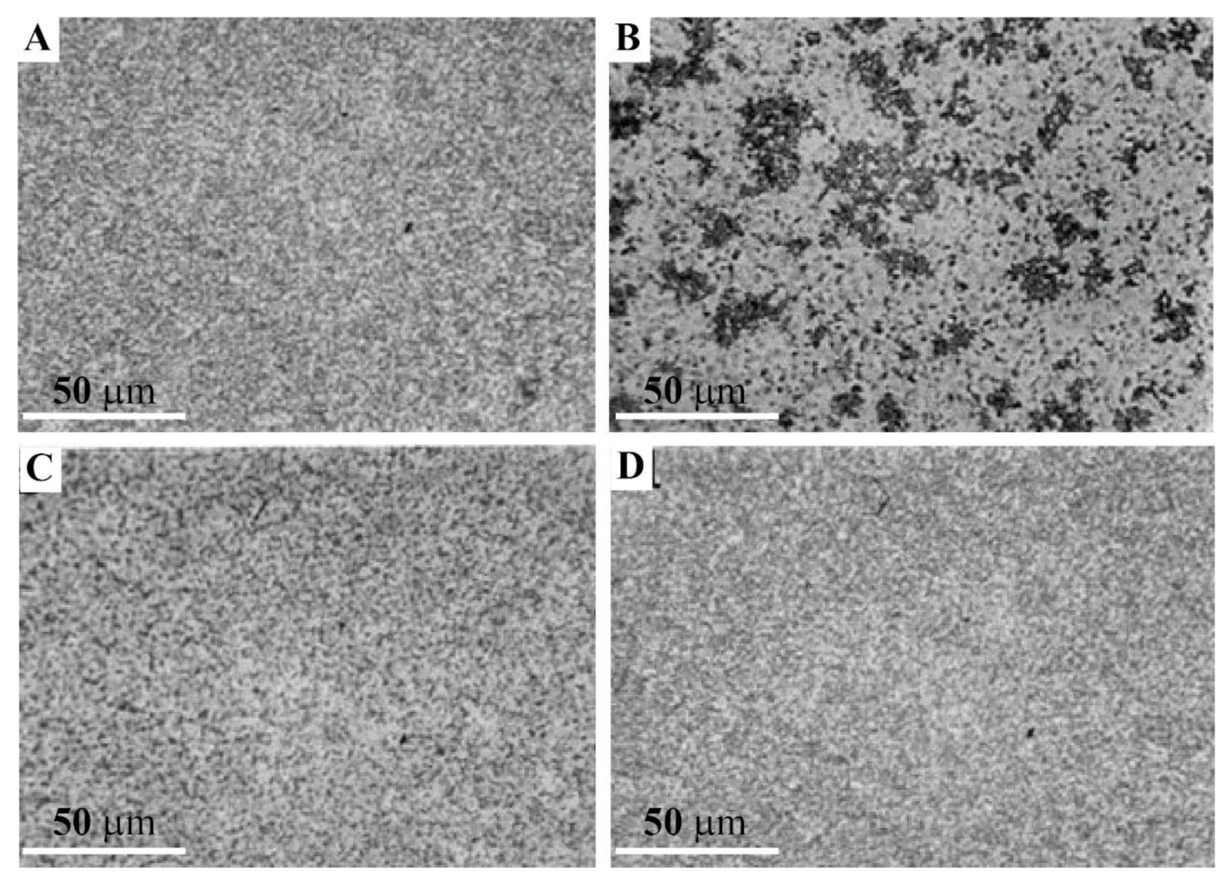 Molecules 26 04012 g006 Molecules 26 04012 g006