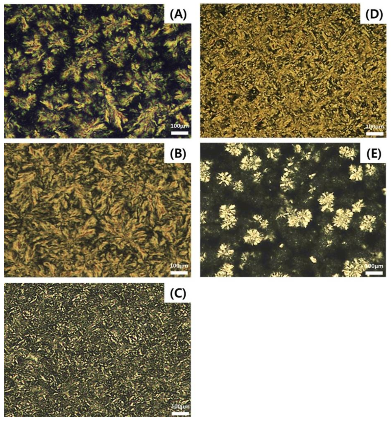 Molecules 26 04015 g004