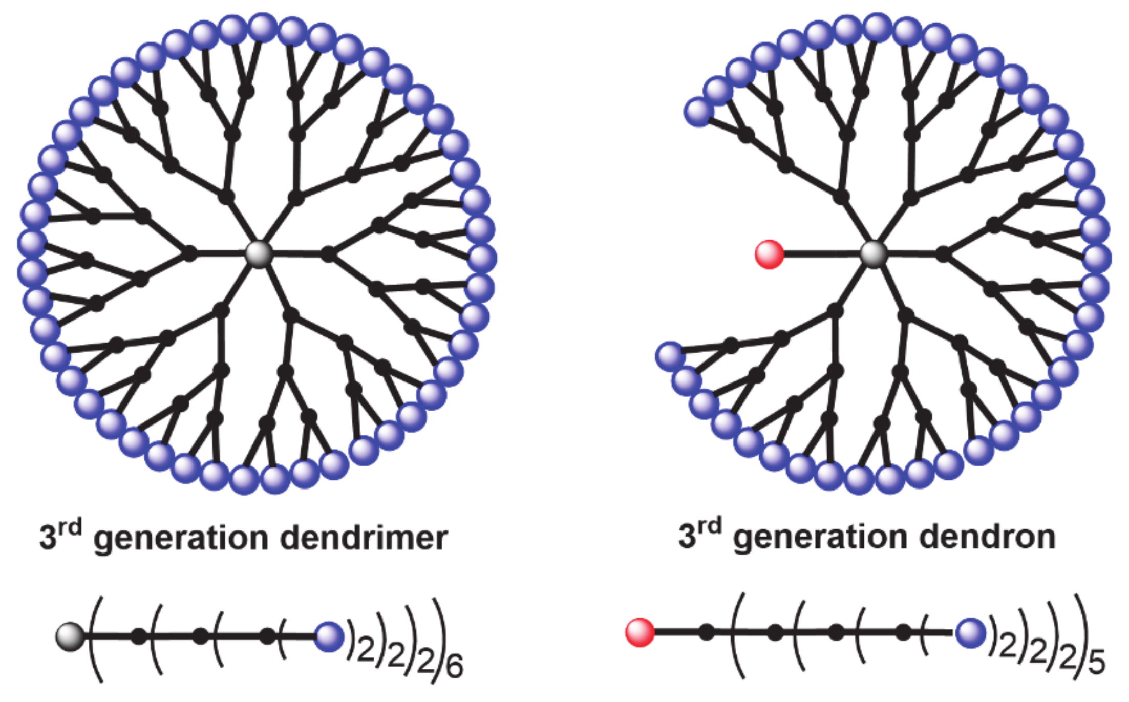Molecules Free FullText AB5 Derivatives of Cyclotriphosphazene for