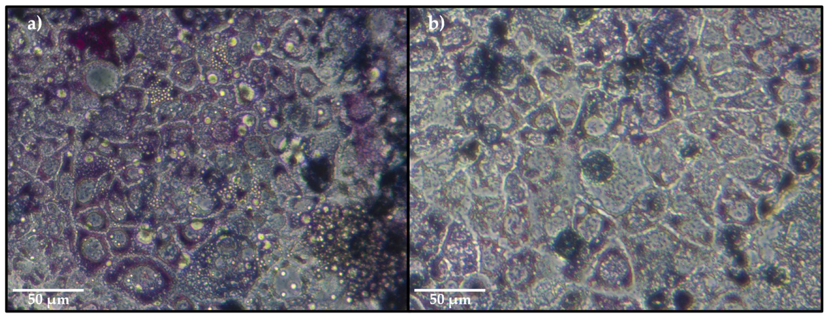 Molecules 26 04020 g006 550