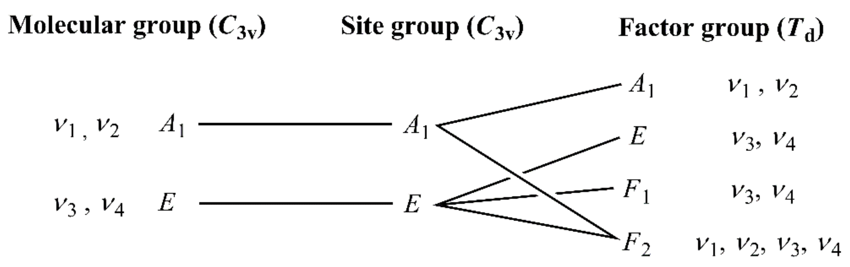 Molecules 26 04022 g006
