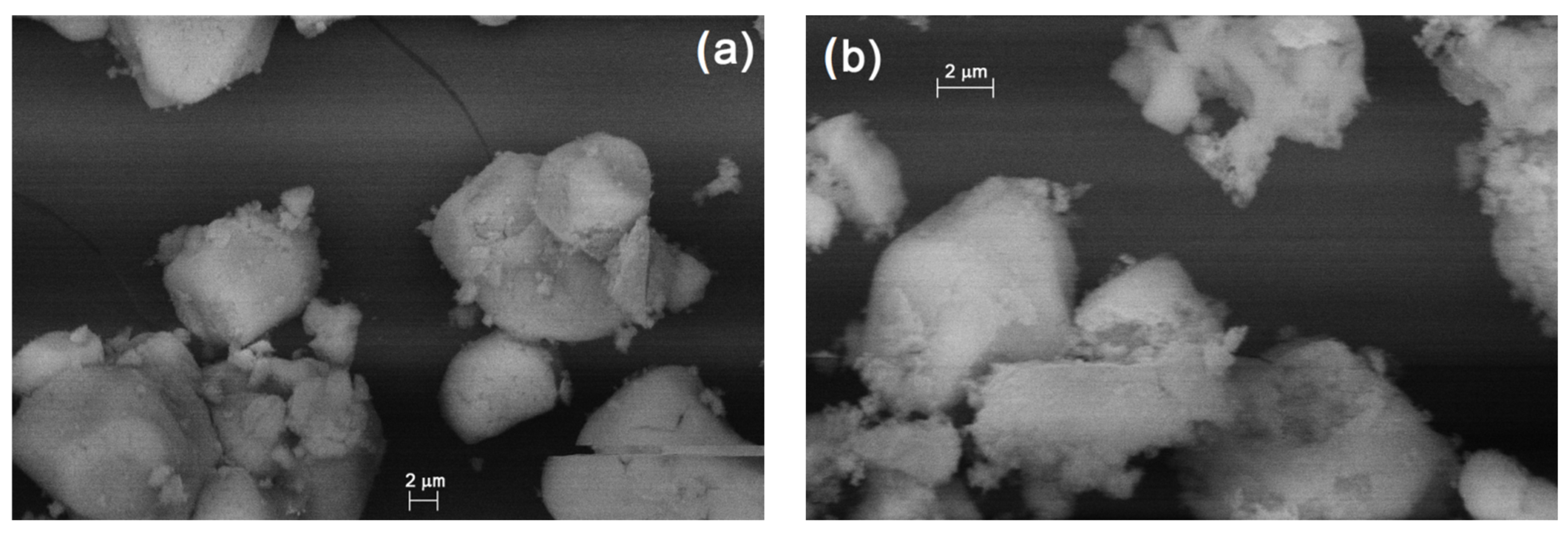 Molecules 26 04022 g011