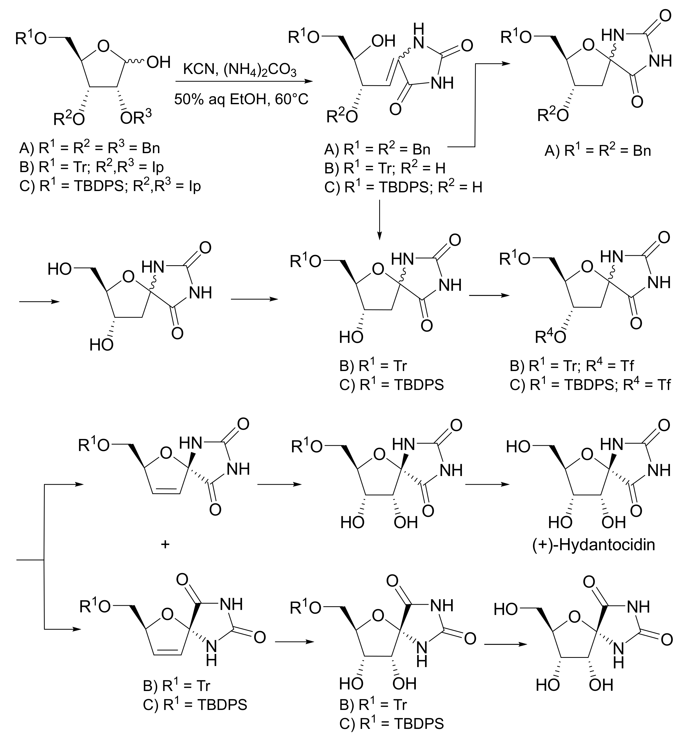 Molecules Free Full Text The Bucherer Bergs Multicomponent Synthesis Of Hydantoins Excellence In Simplicity Html