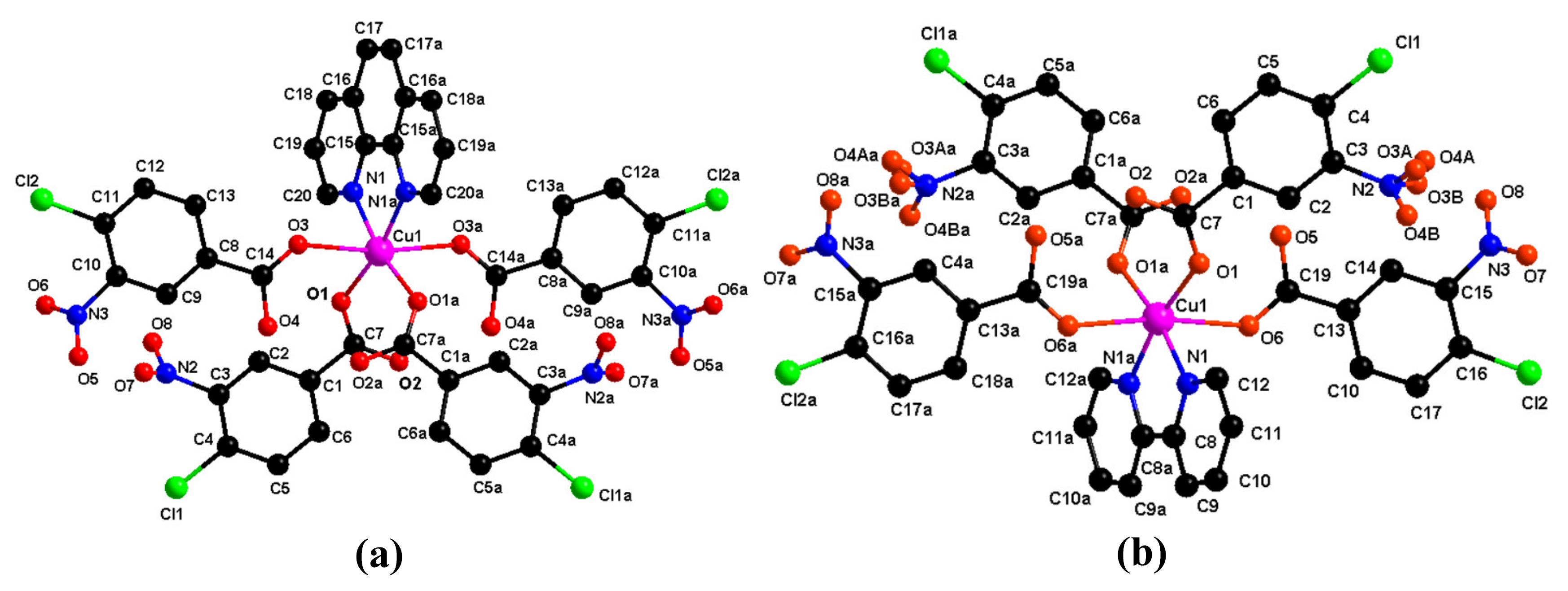 Molecules 26 04028 g001