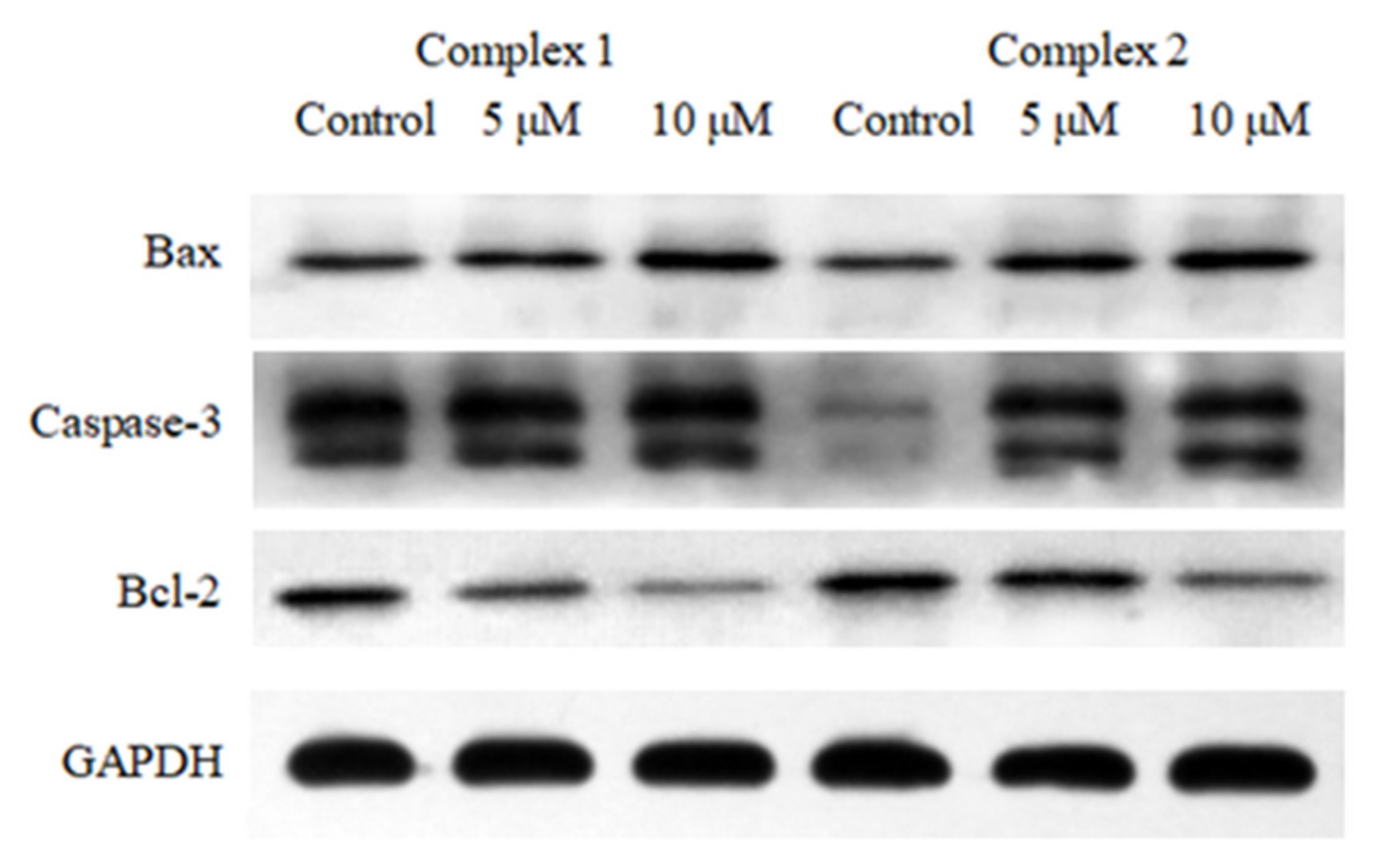 Molecules 26 04028 g014