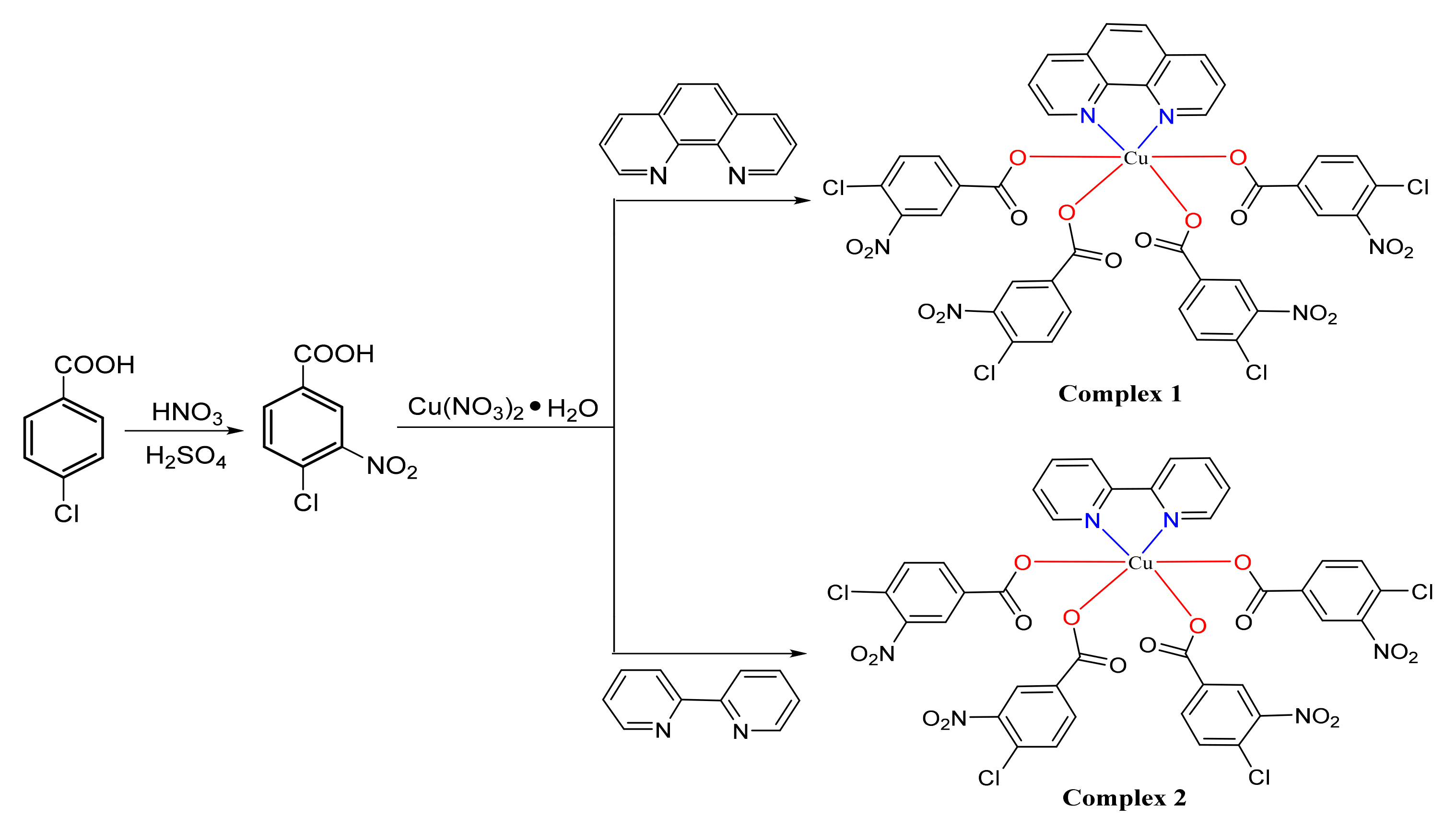 Molecules 26 04028 sch001