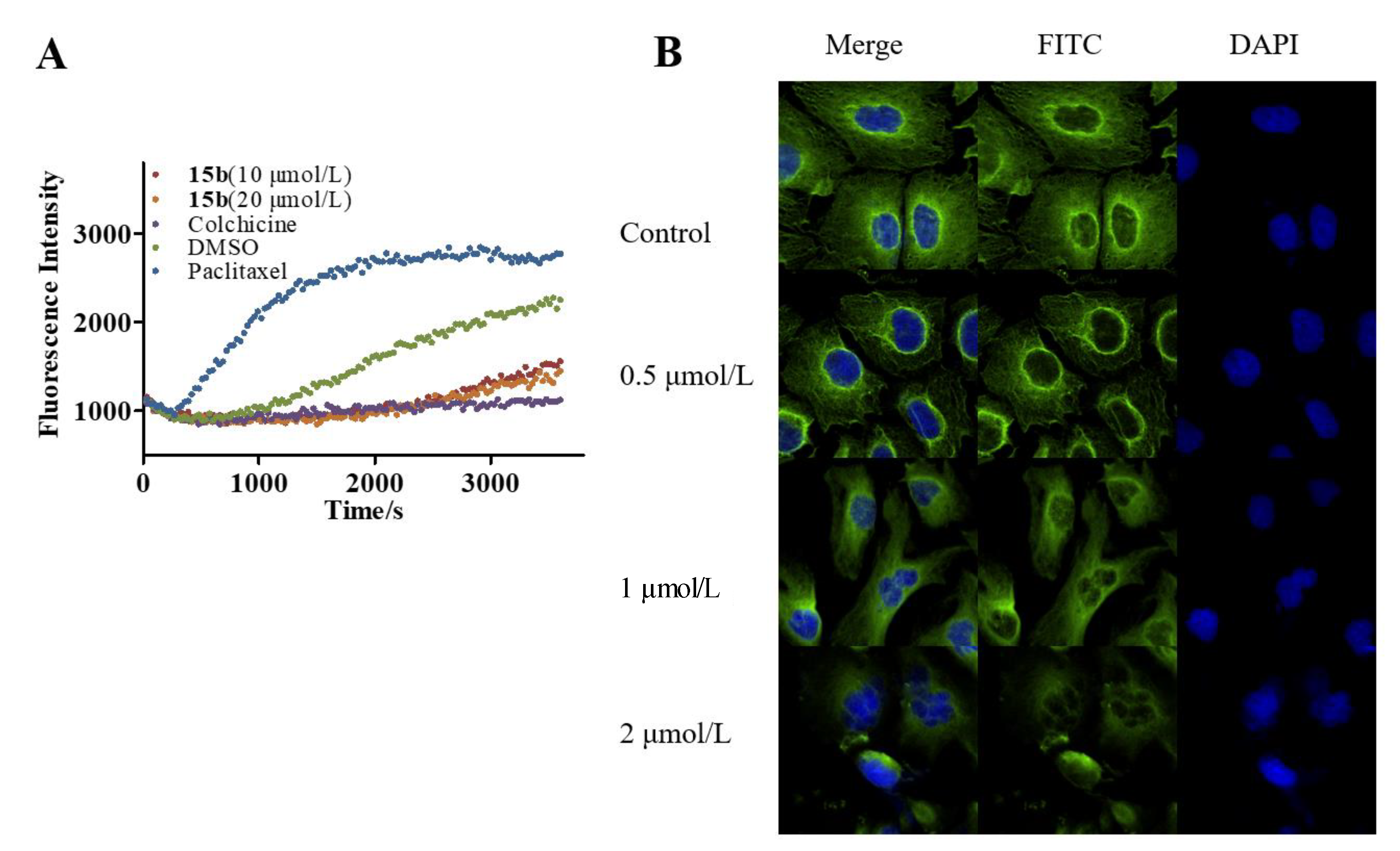 Molecules 26 04047 g004 Molecules 26 04047 g004