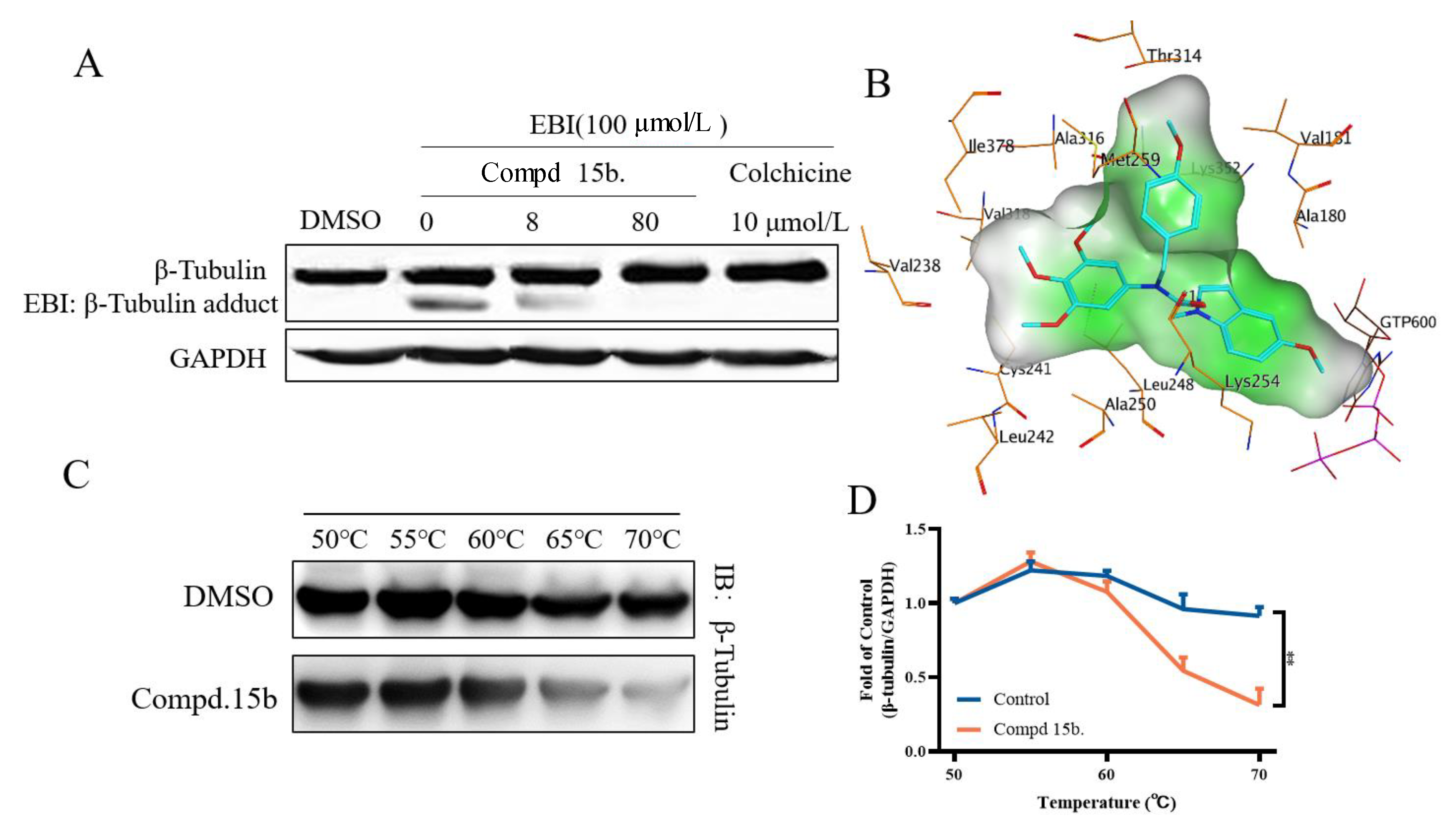 Molecules 26 04047 g005 Molecules 26 04047 g005