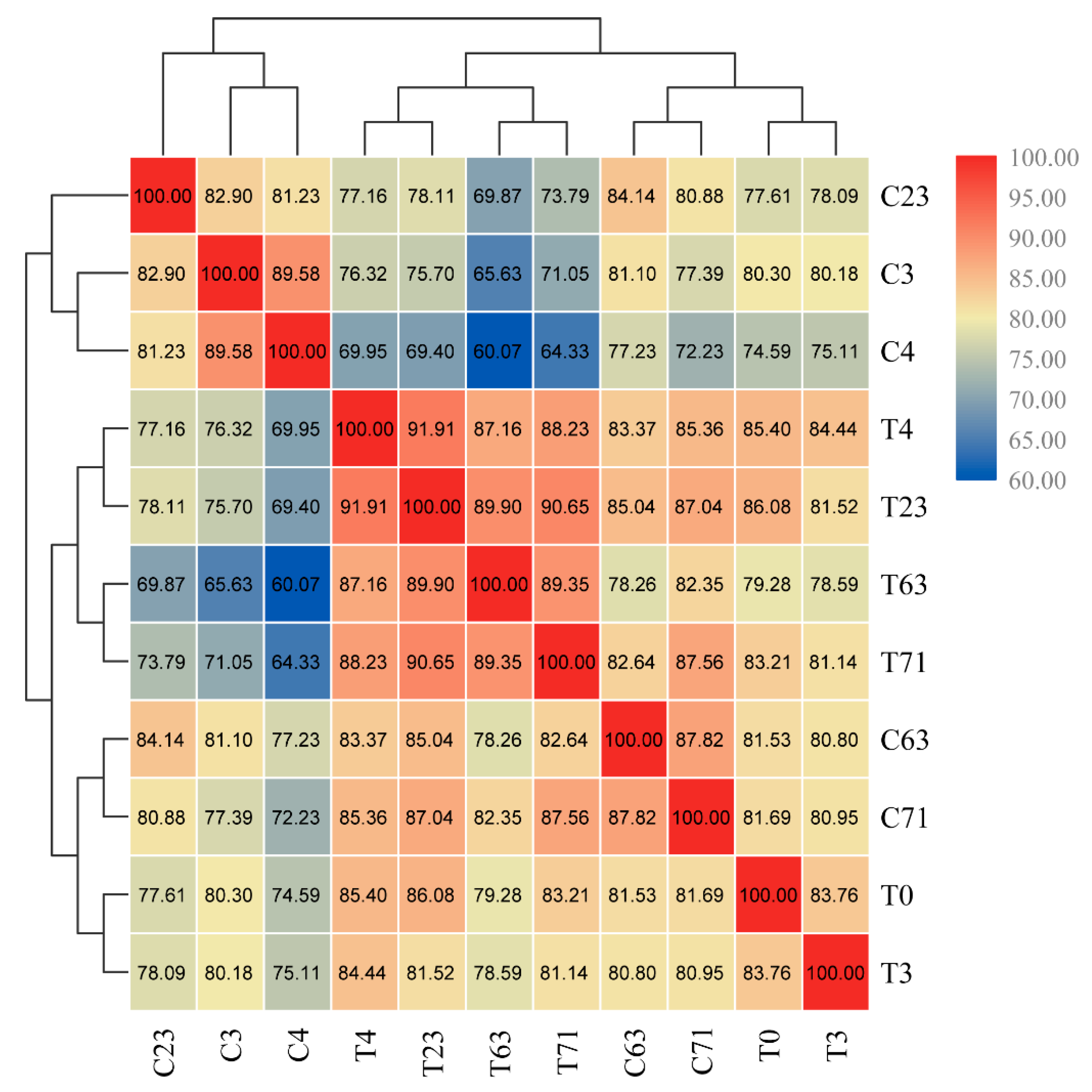 Molecules 26 04048 g003
