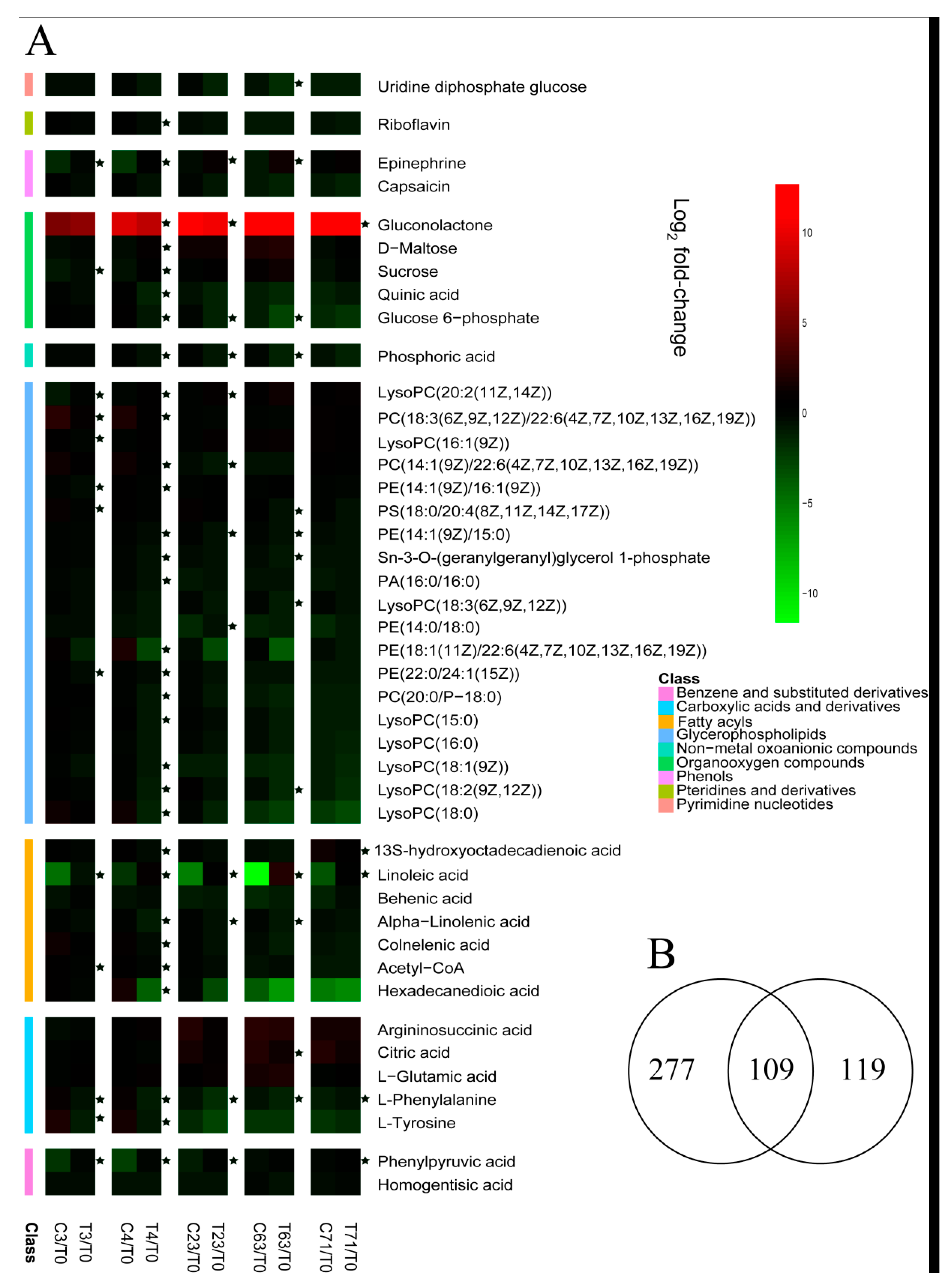 Molecules 26 04048 g005