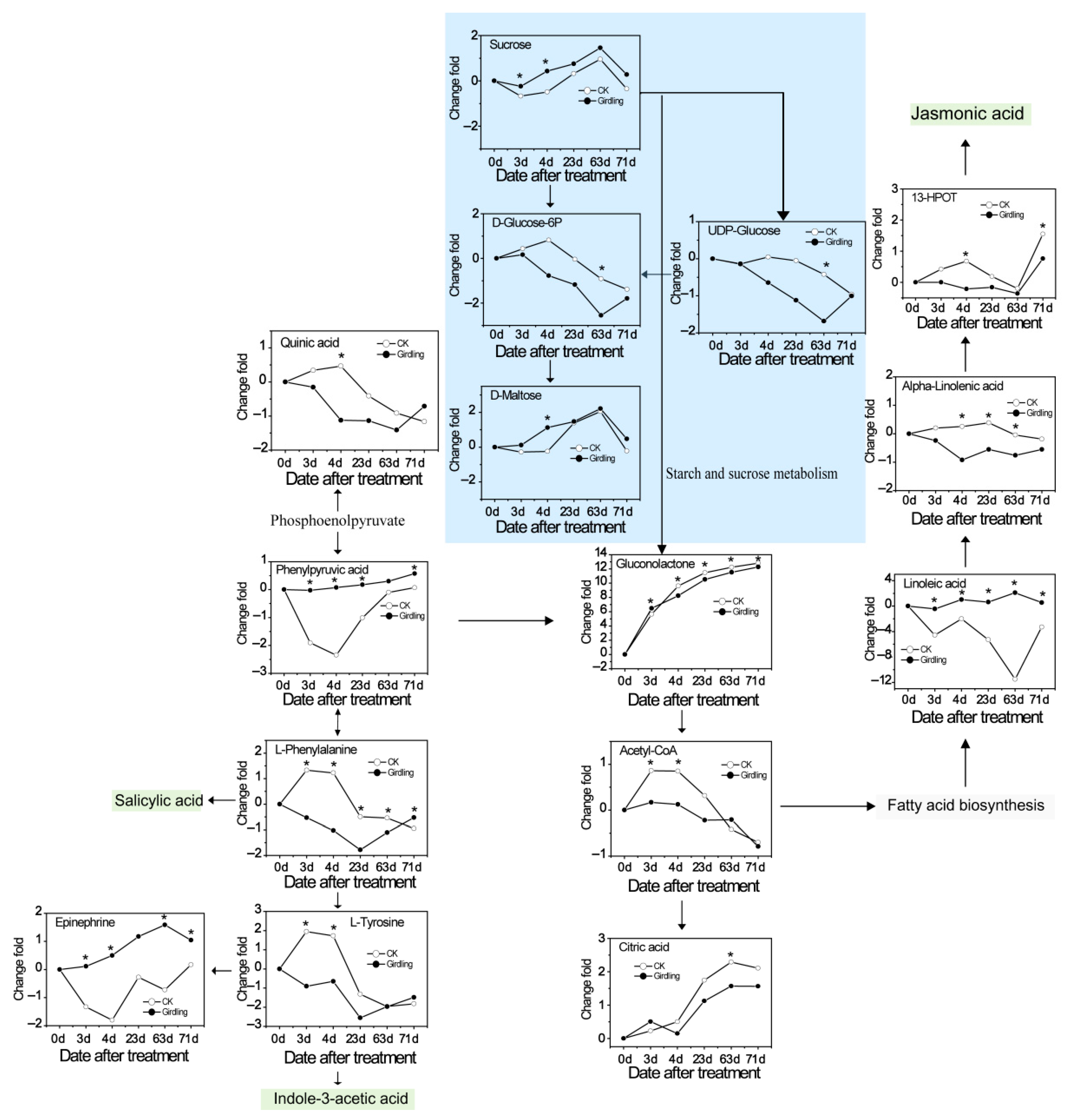 Molecules 26 04048 g006
