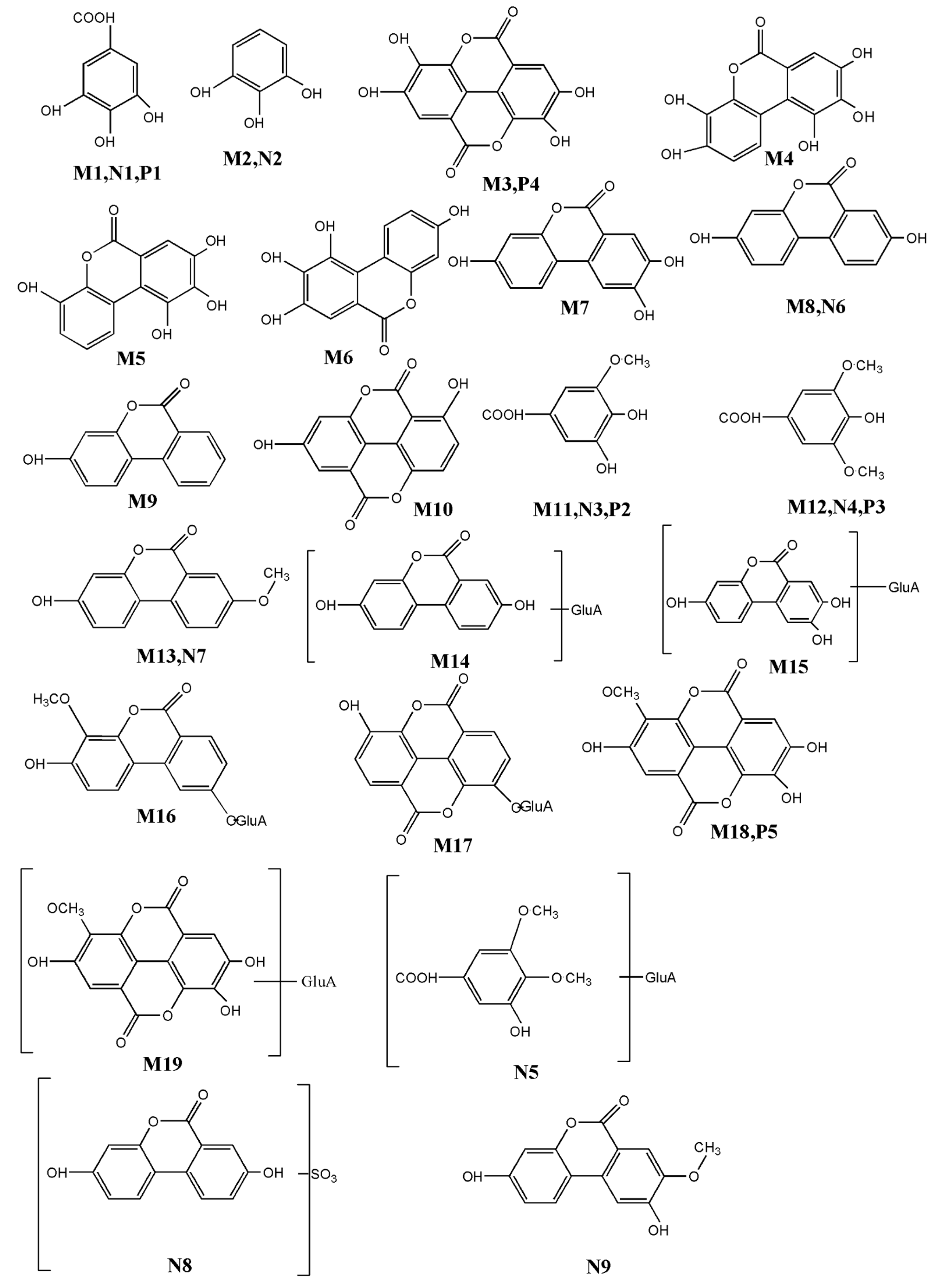 Molecules 26 04053 g004 550