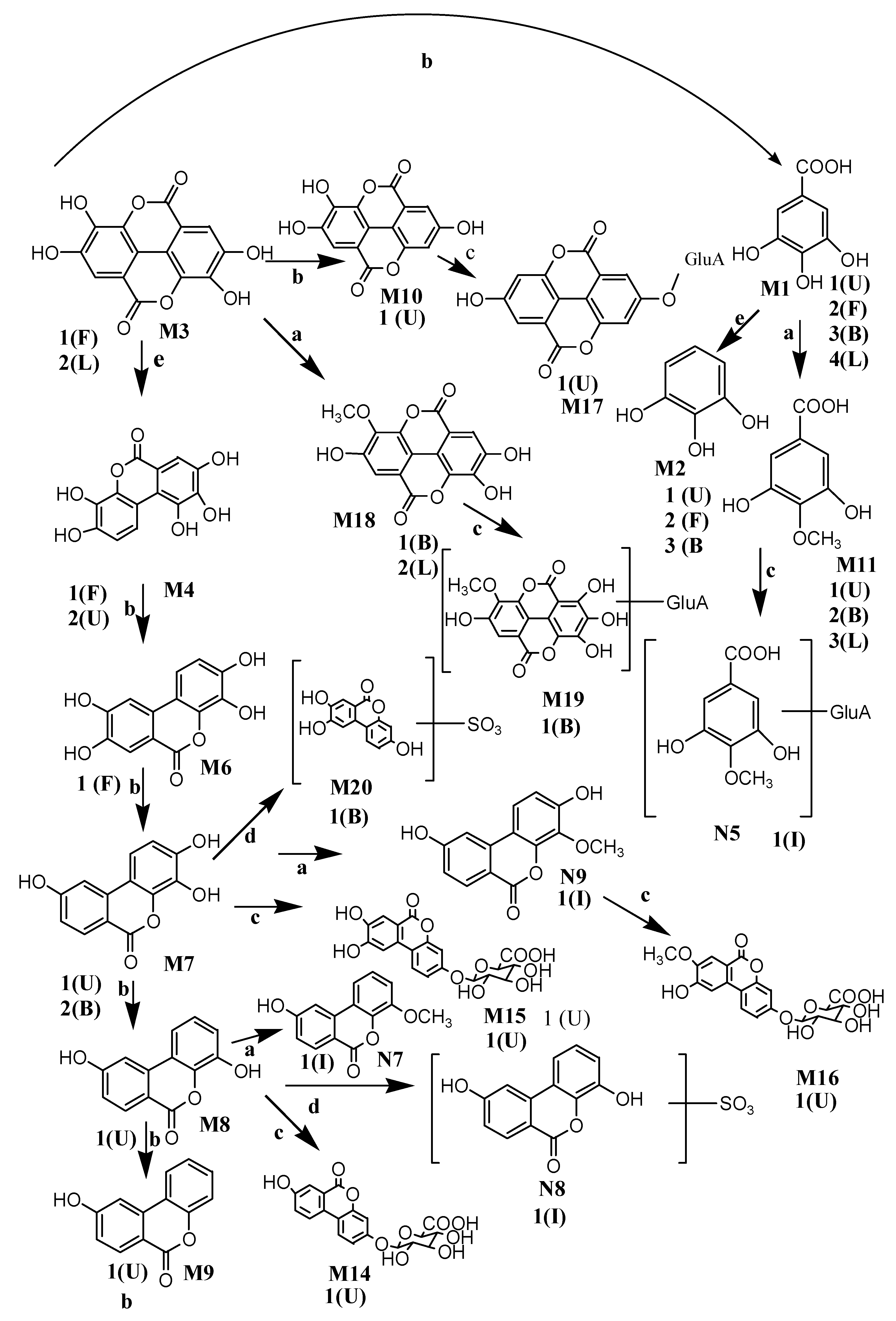 Molecules 26 04053 g005 550
