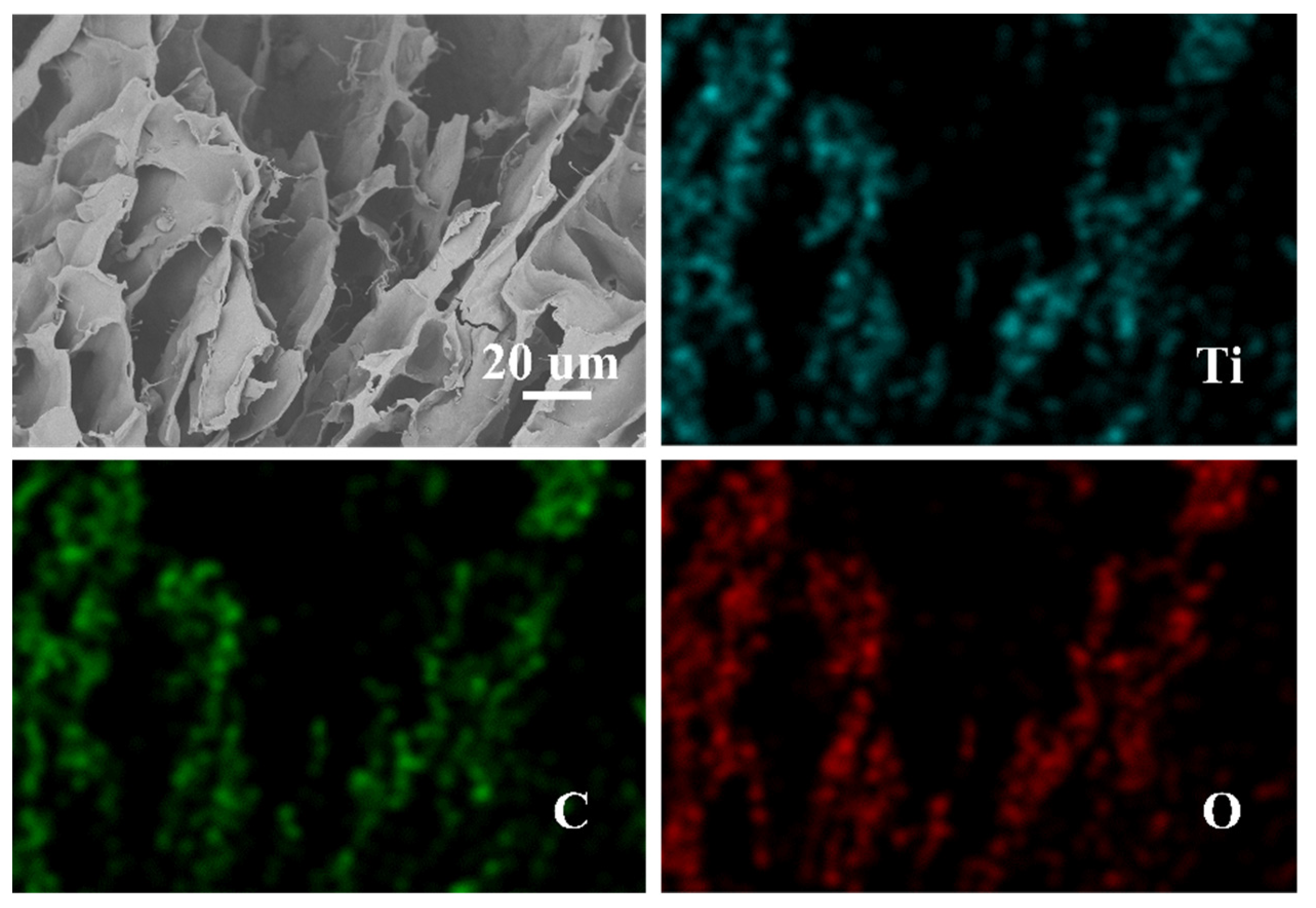 Molecules 26 04054 g002 550