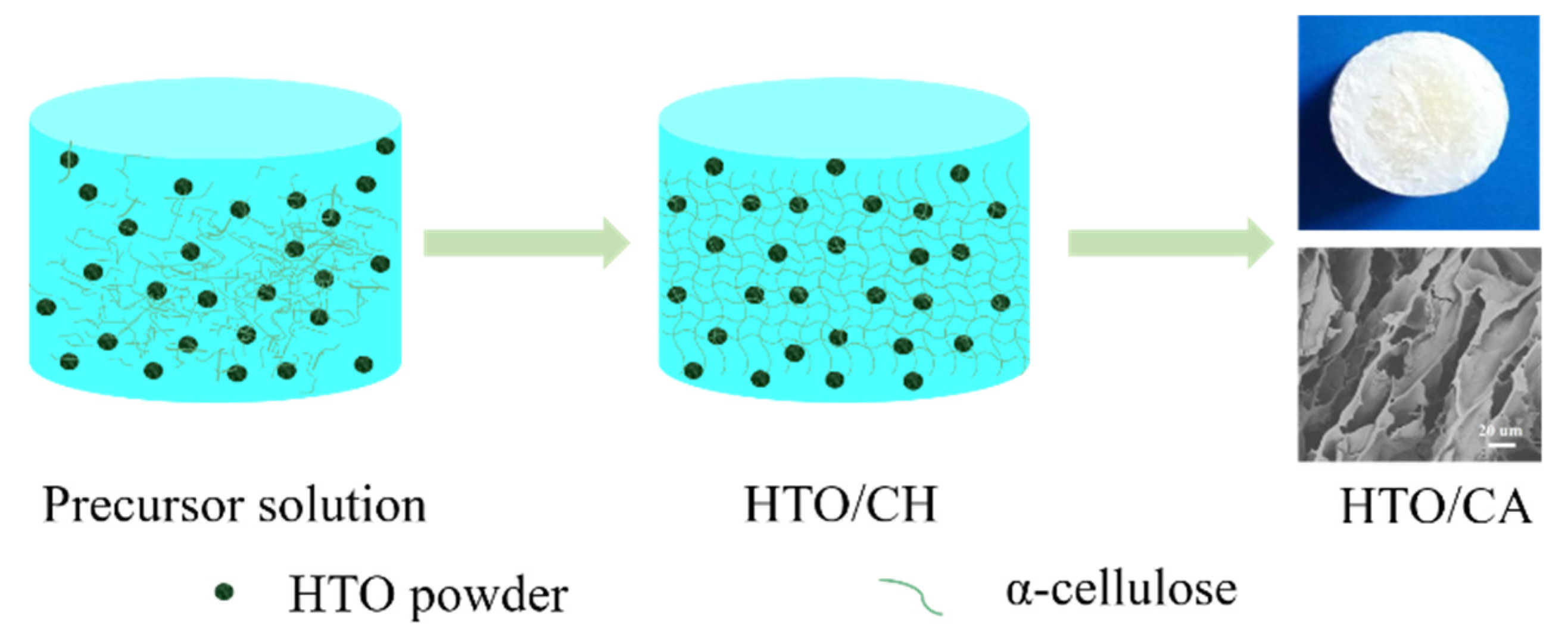 Molecules 26 04054 g012 550