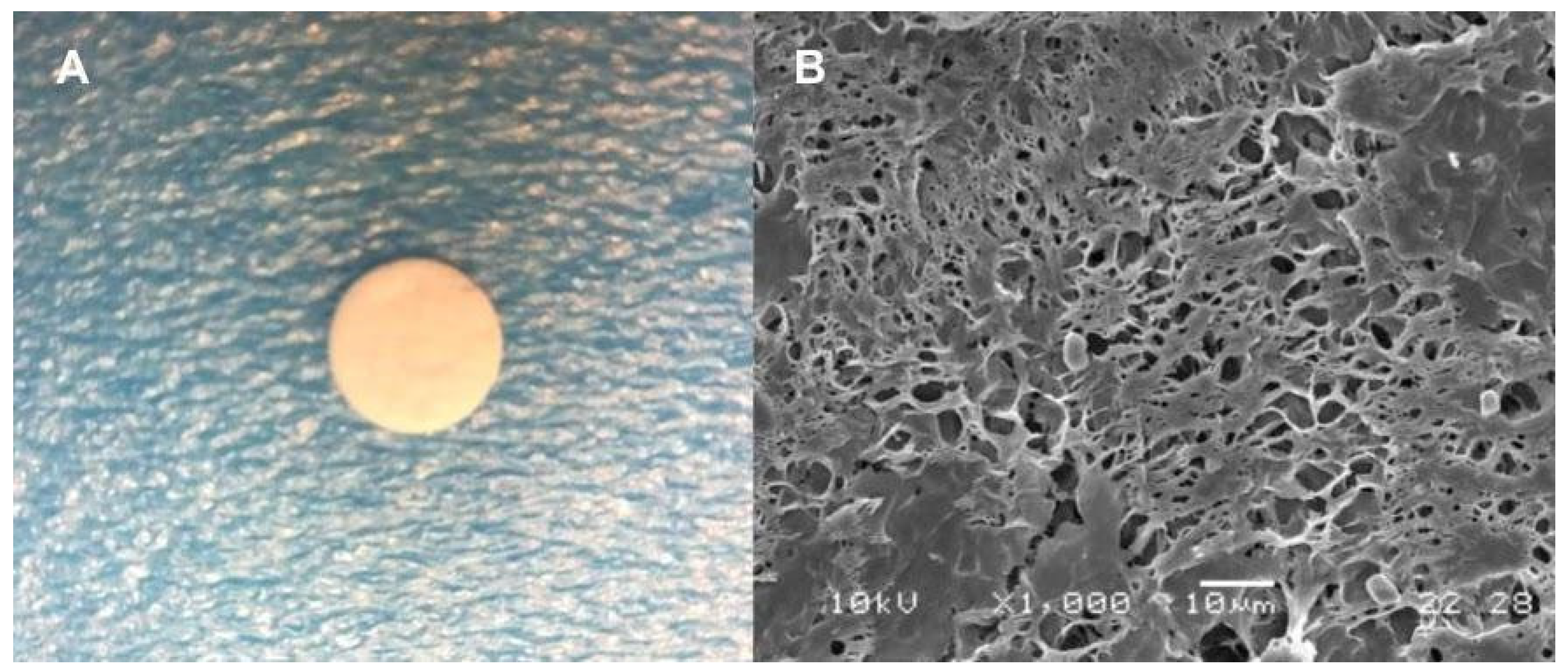 Molecules 26 04056 g001