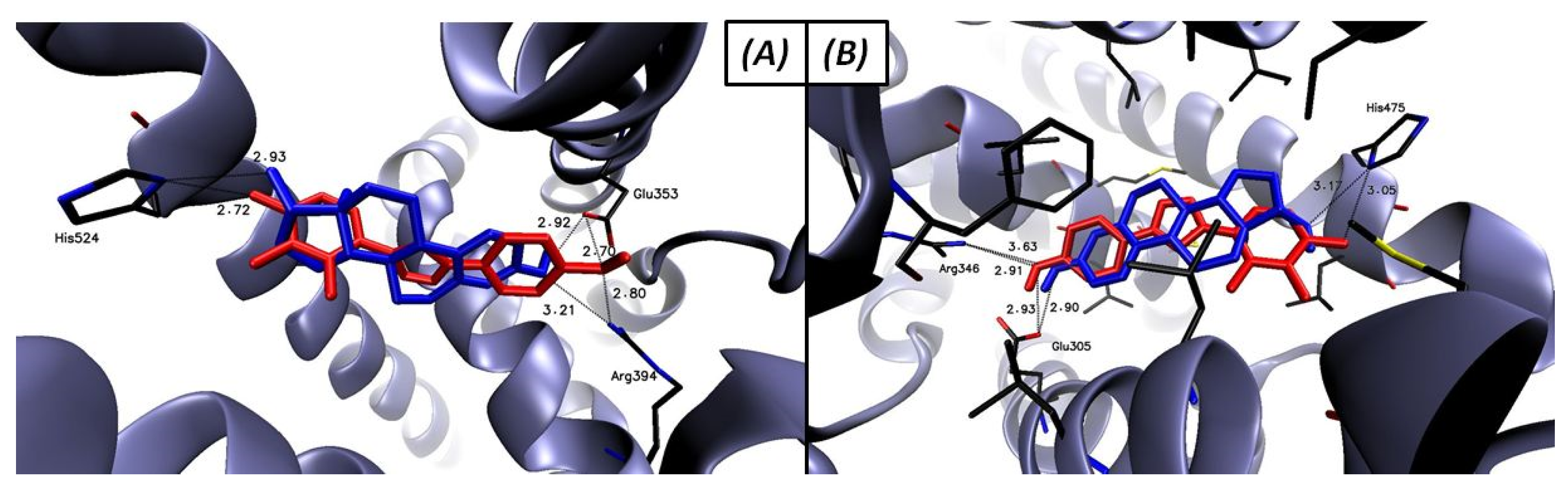 Molecules 26 04059 g008 550