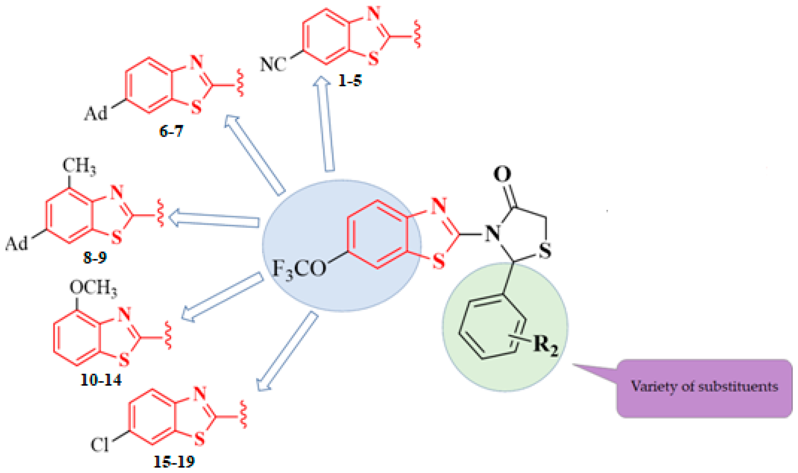 Molecules 26 04061 g002