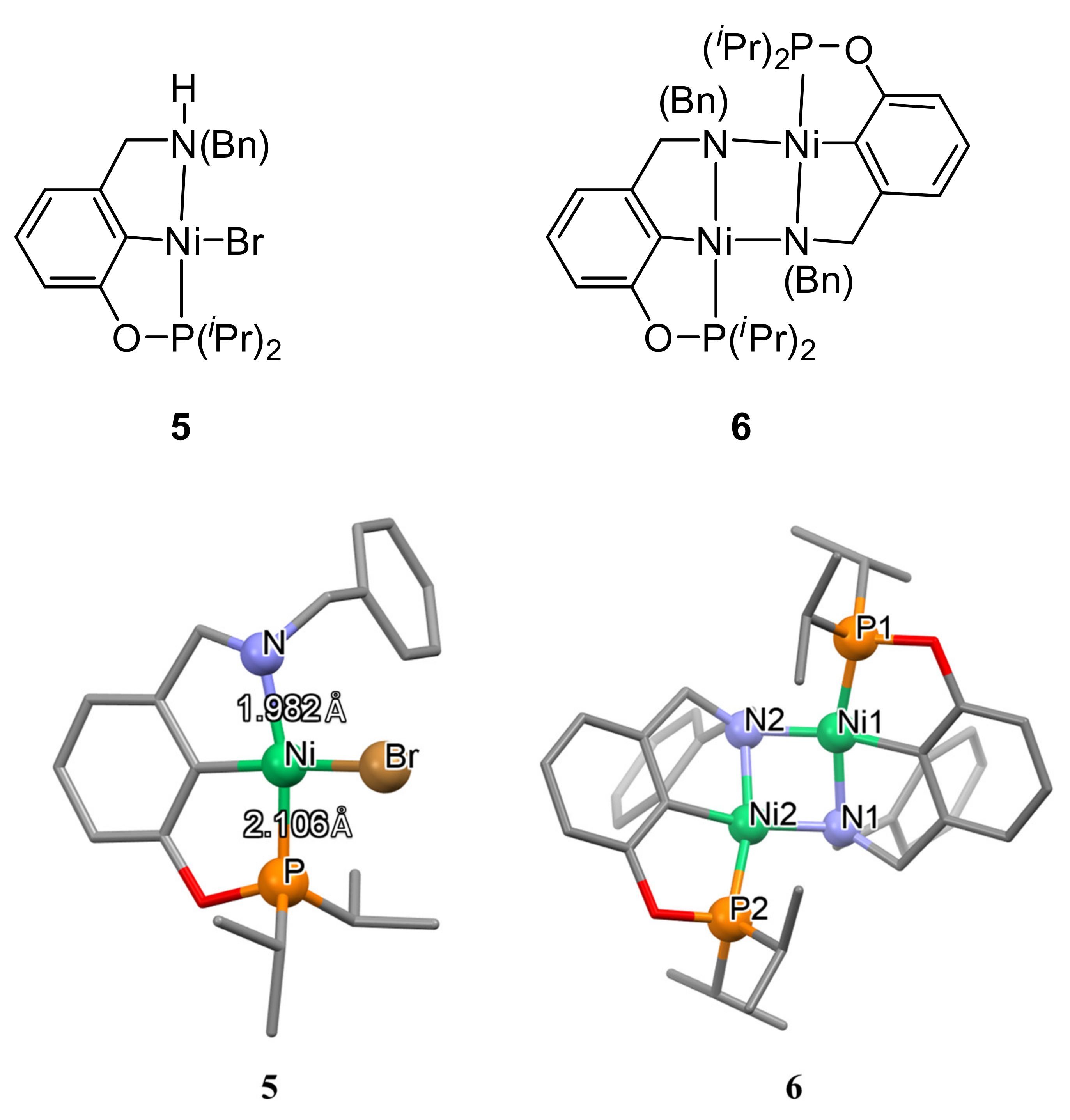 Molecules 26 04063 g003