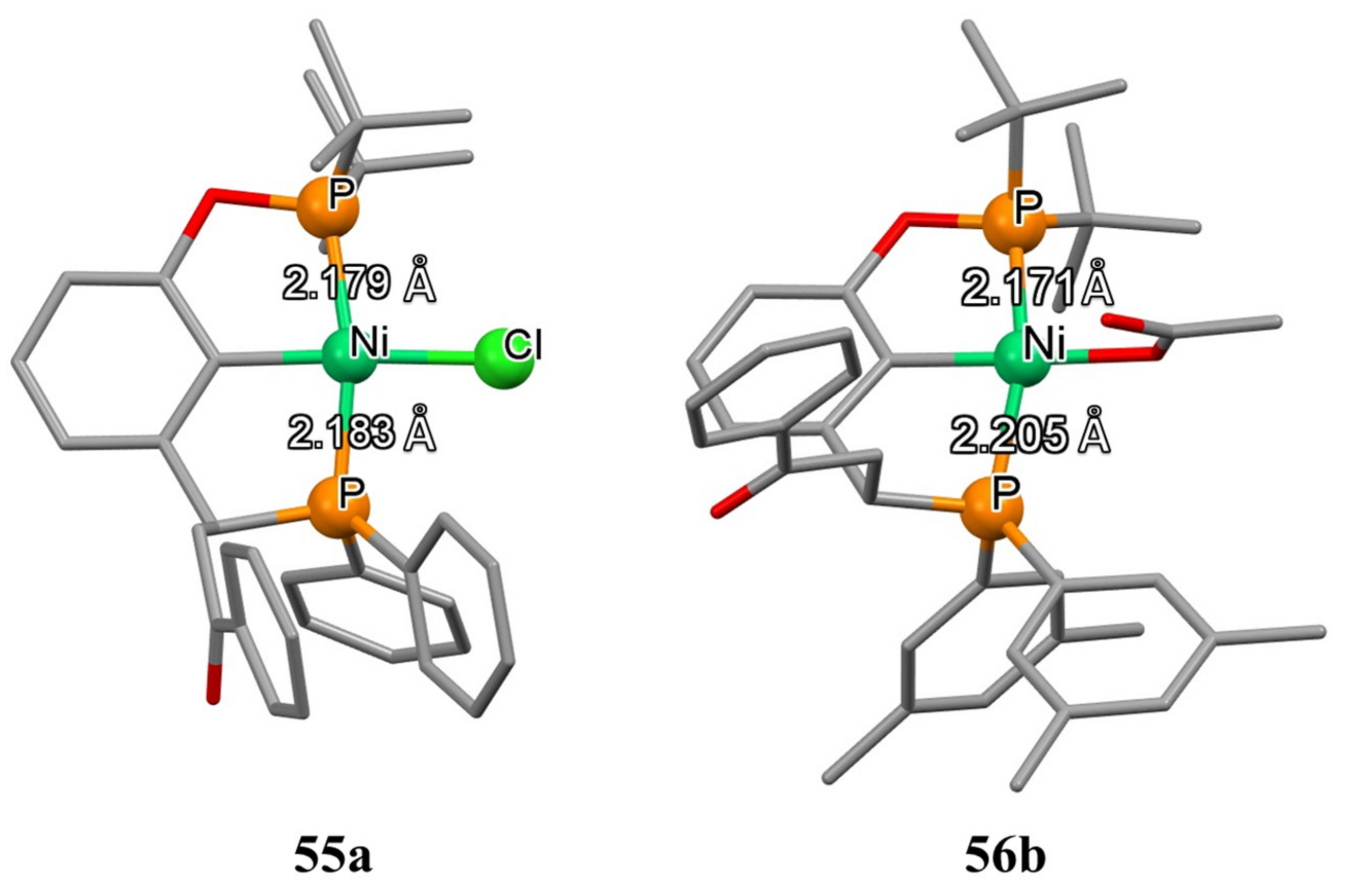 Molecules 26 04063 g010