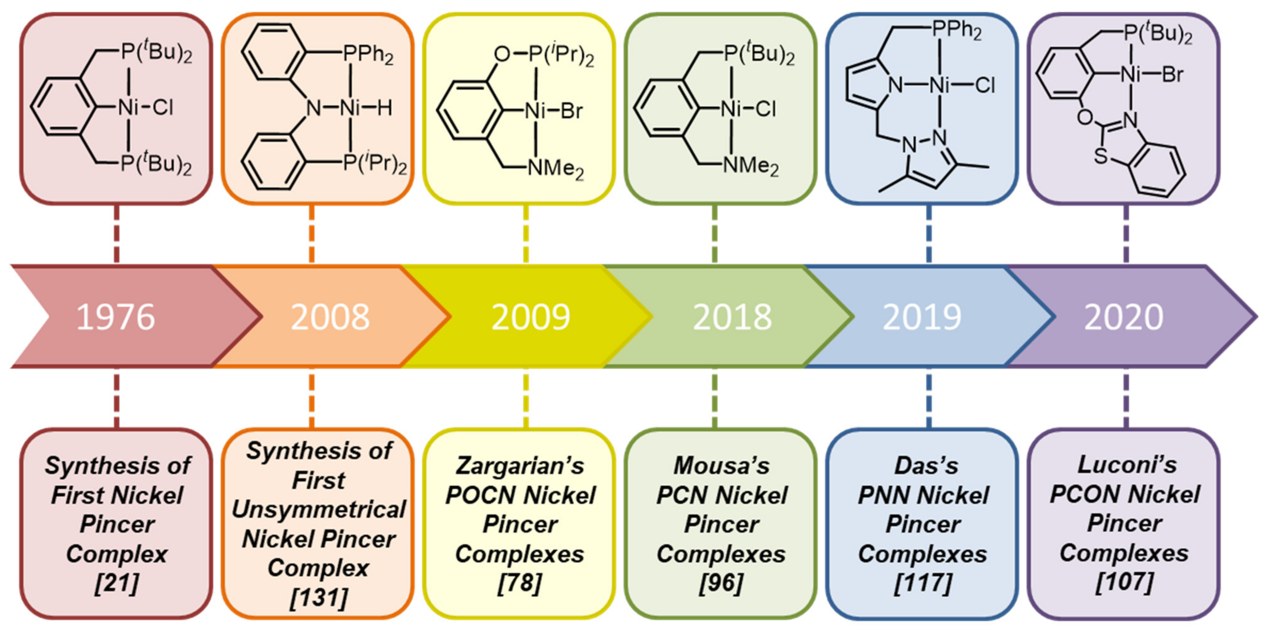 Molecules 26 04063 g011