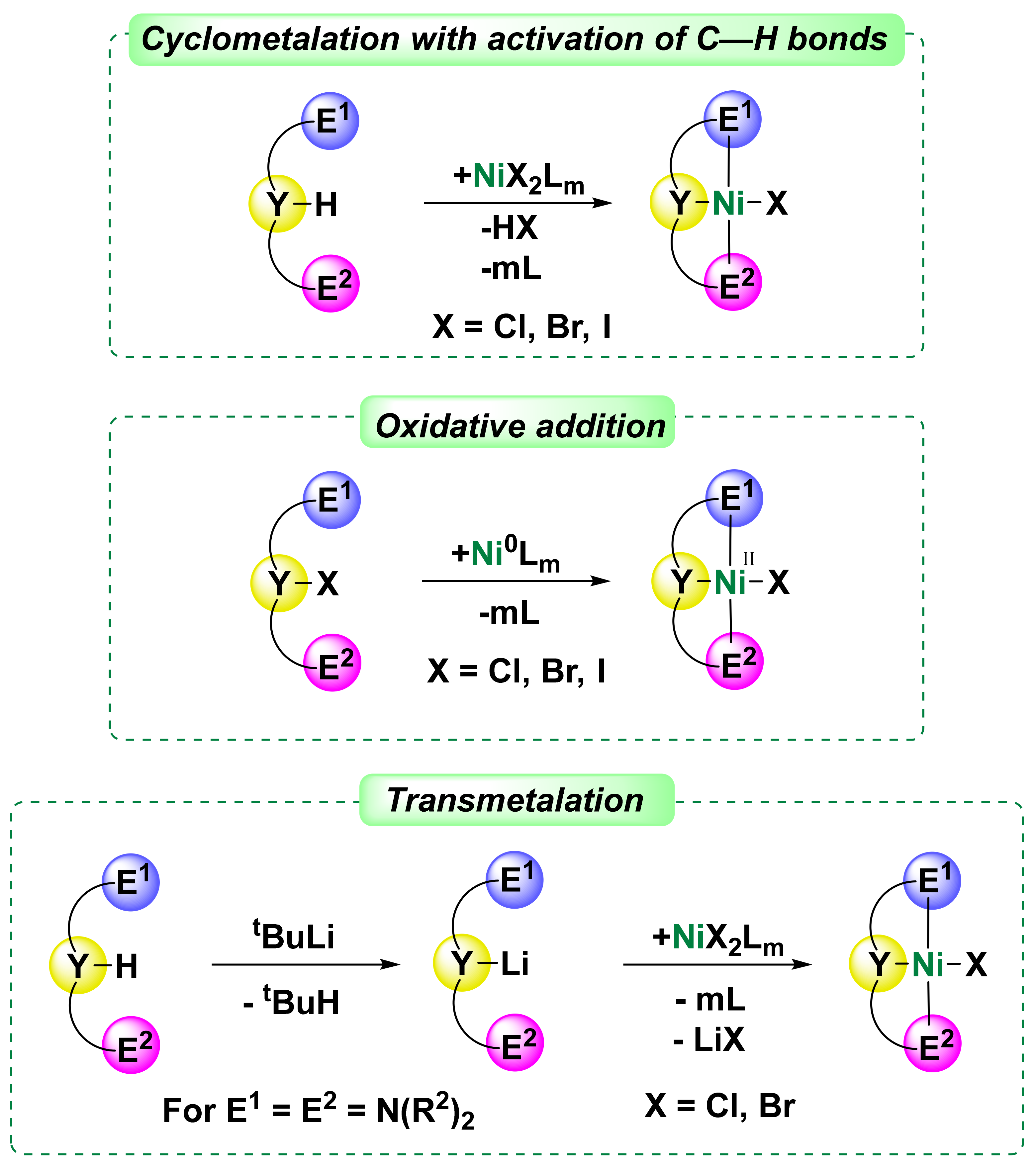Molecules 26 04063 sch001