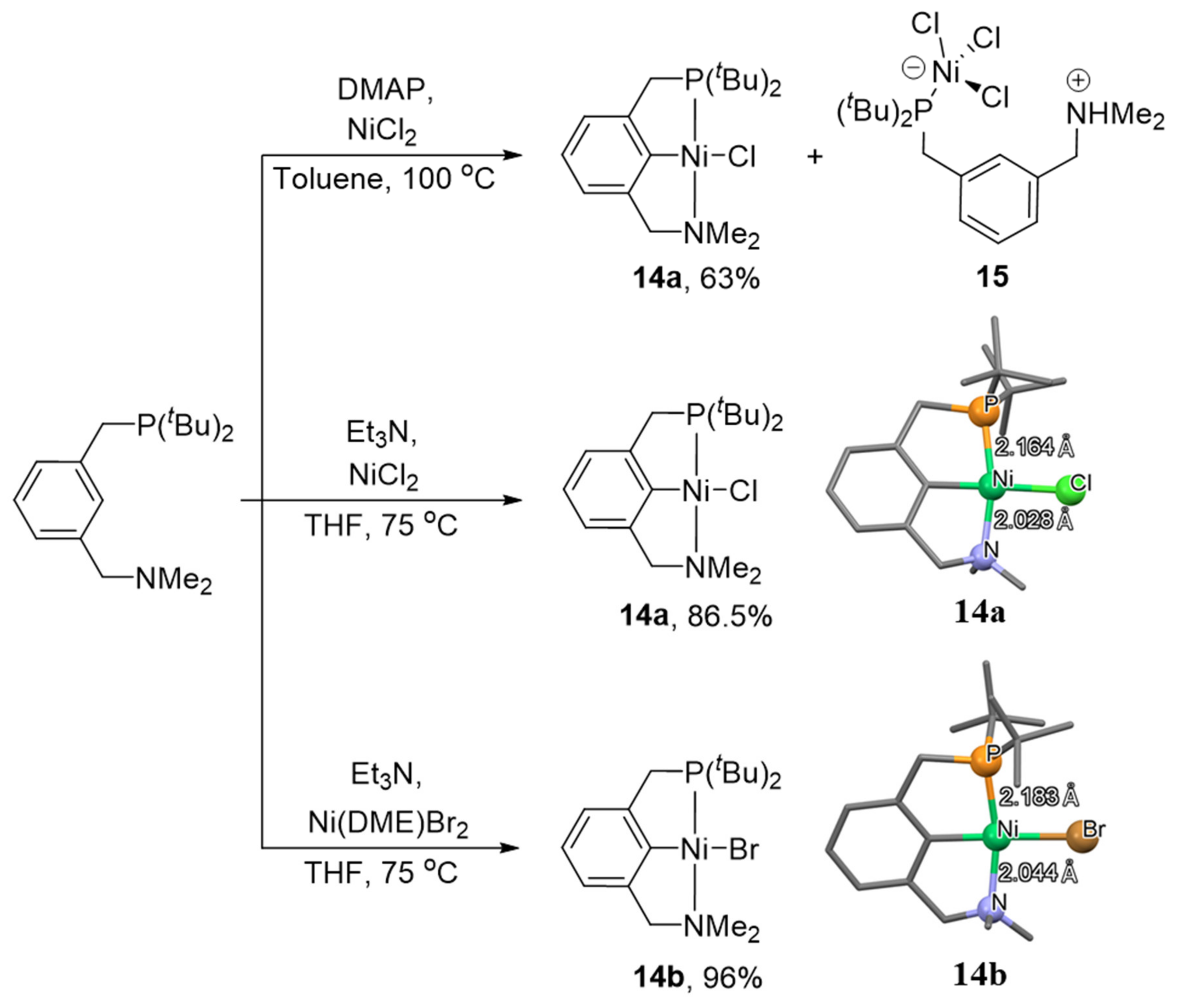 Molecules 26 04063 sch004
