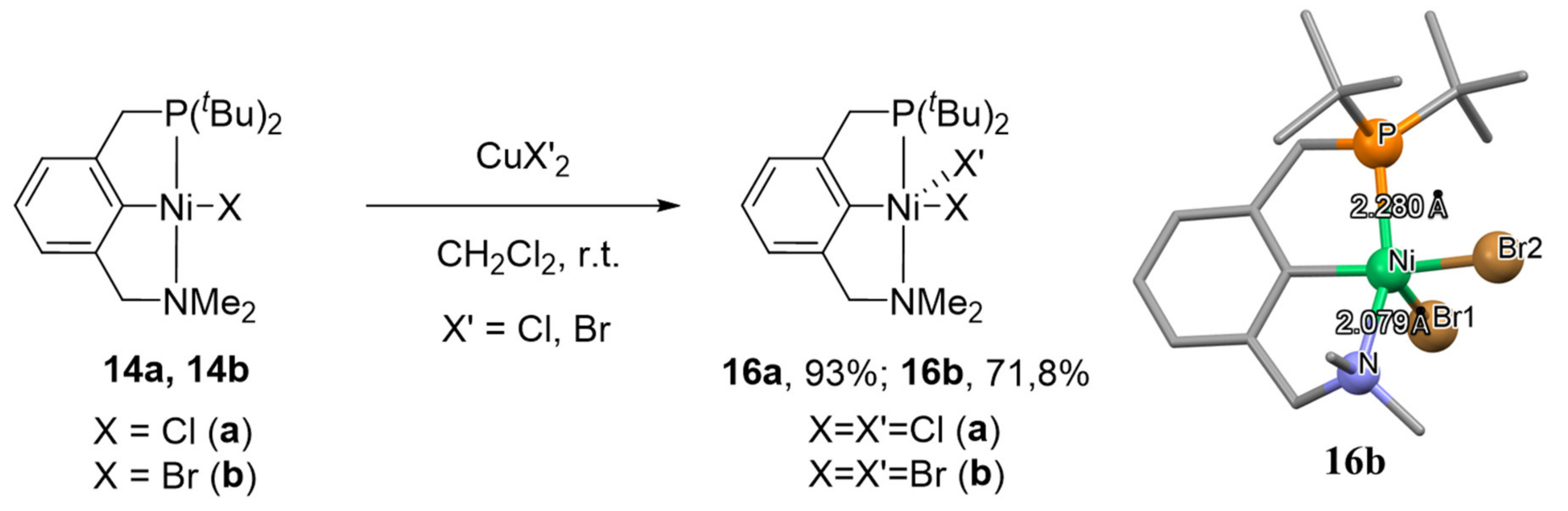 Molecules 26 04063 sch005