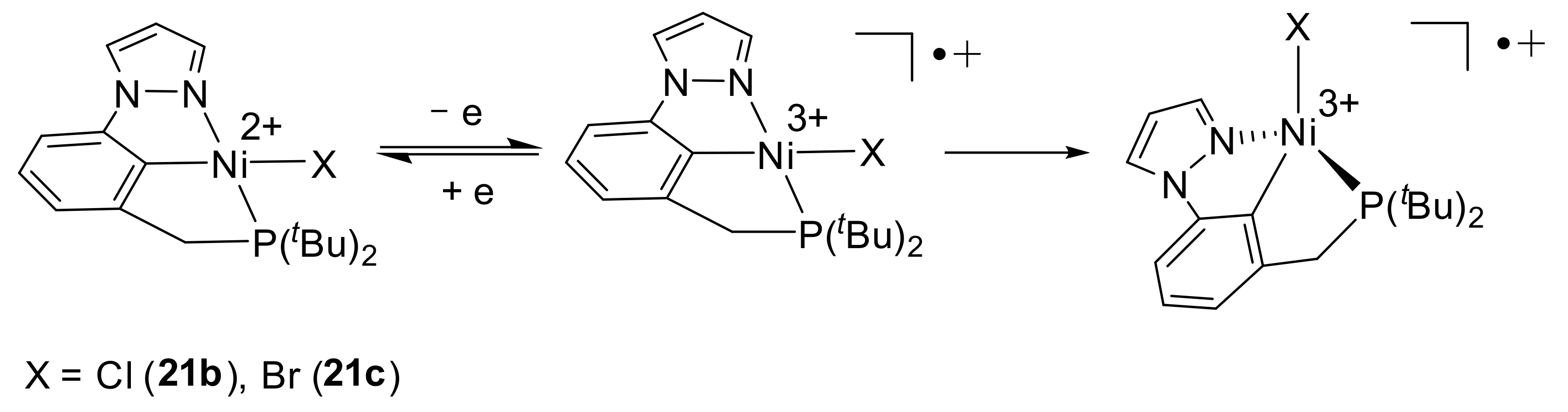 Molecules 26 04063 sch009