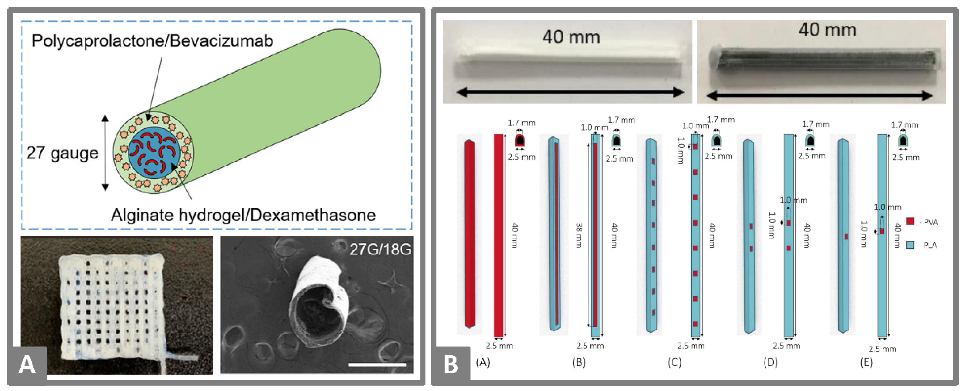 Molecules 26 04066 g007 Molecules 26 04066 g007