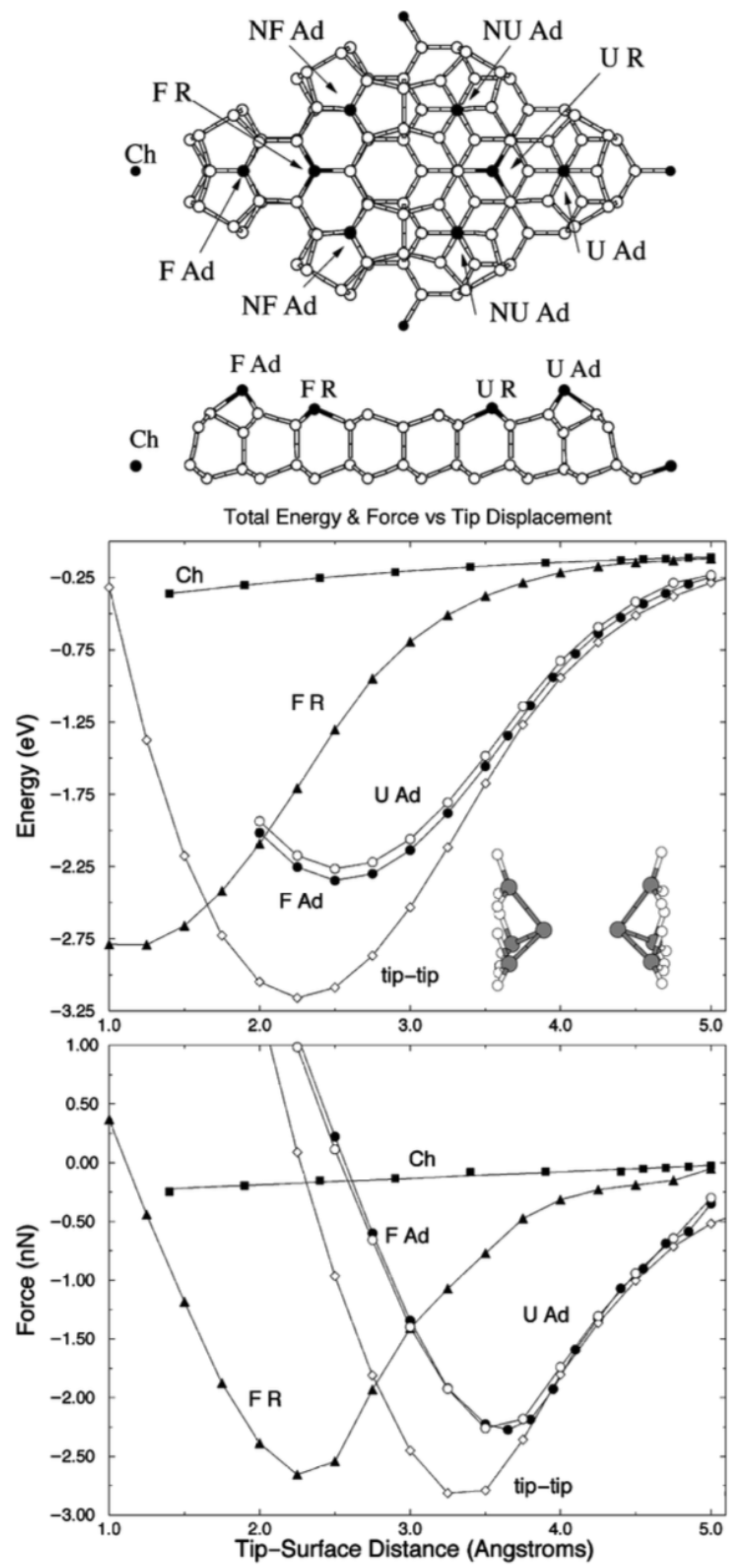 Molecules 26 04068 g006