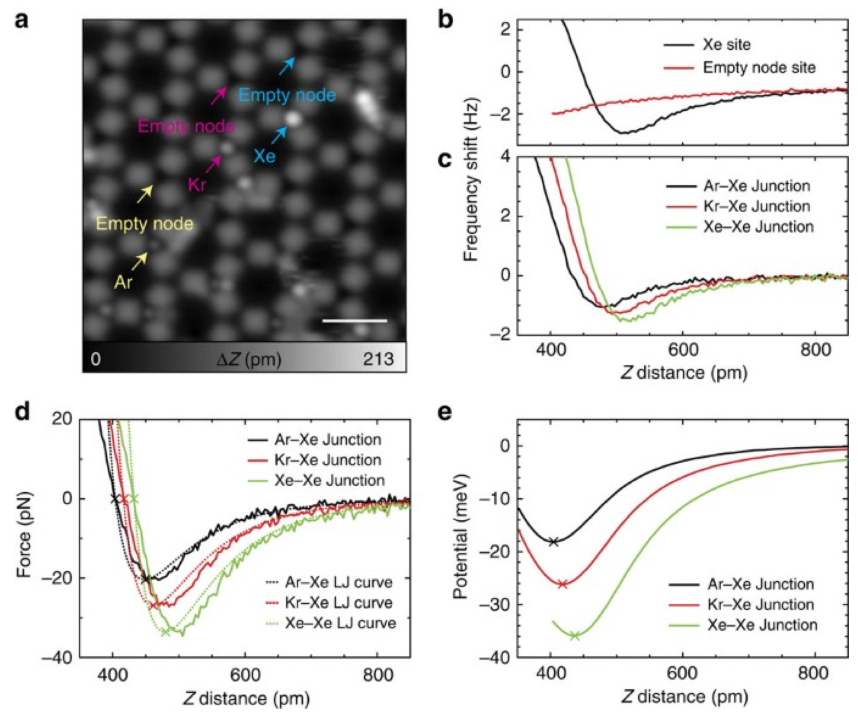 Molecules 26 04068 g008