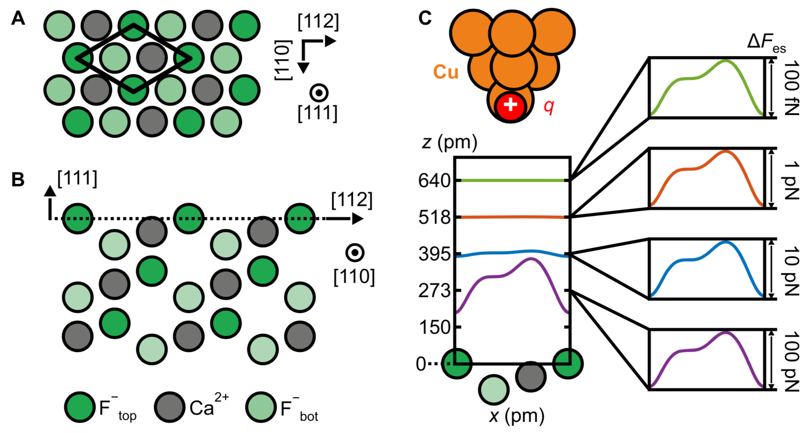 Molecules 26 04068 g010