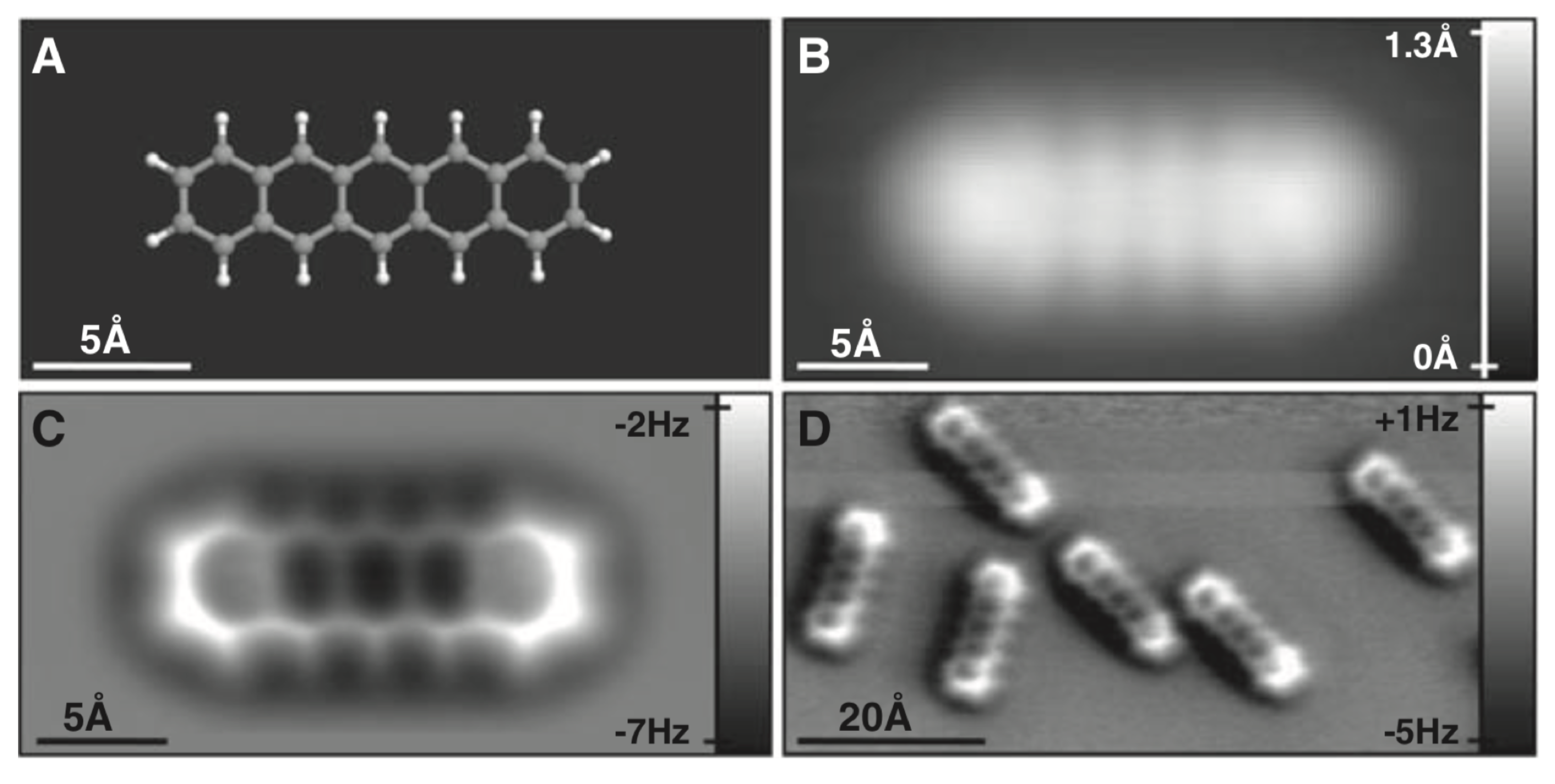 Molecules 26 04068 g012