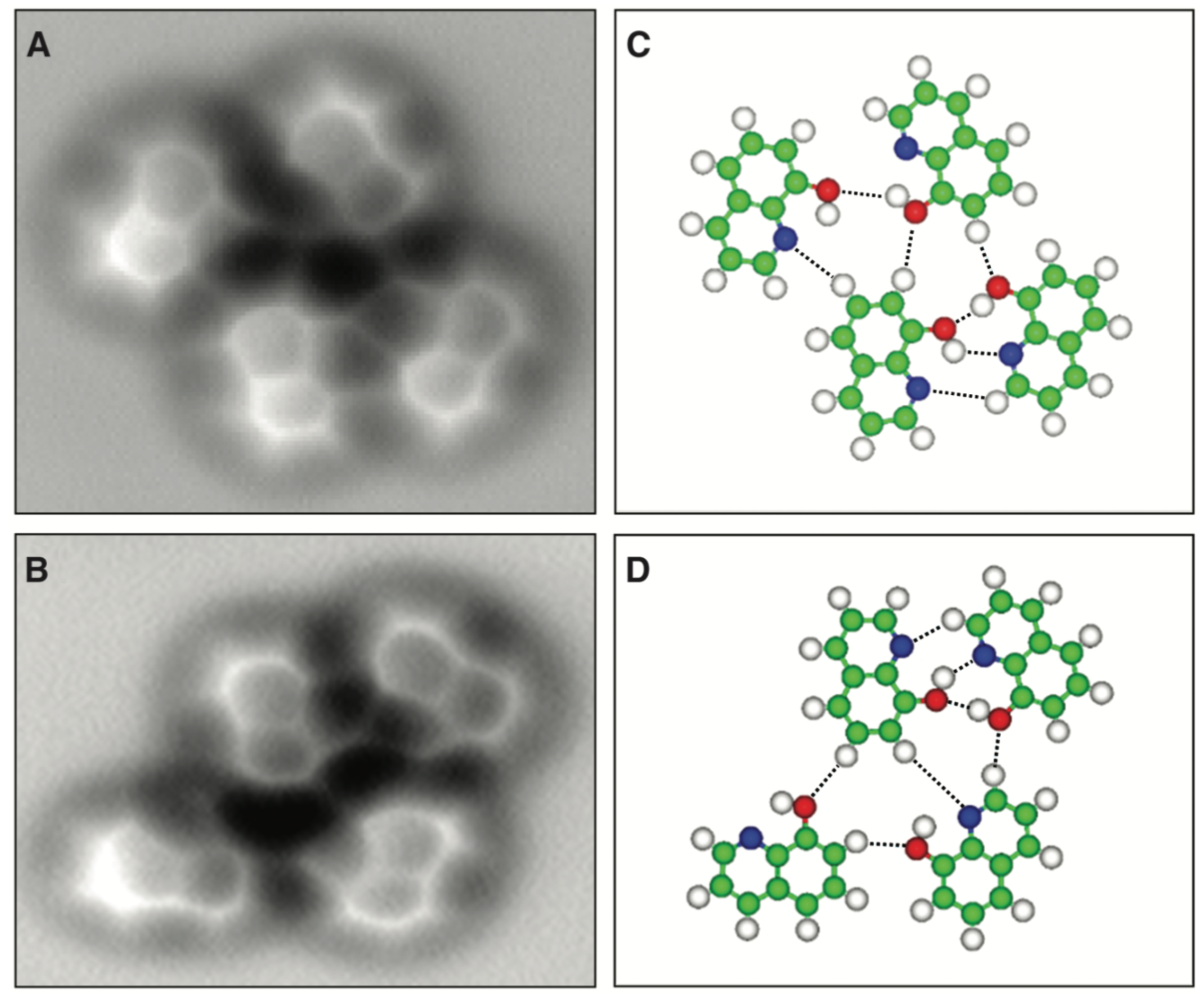 Molecules 26 04068 g014